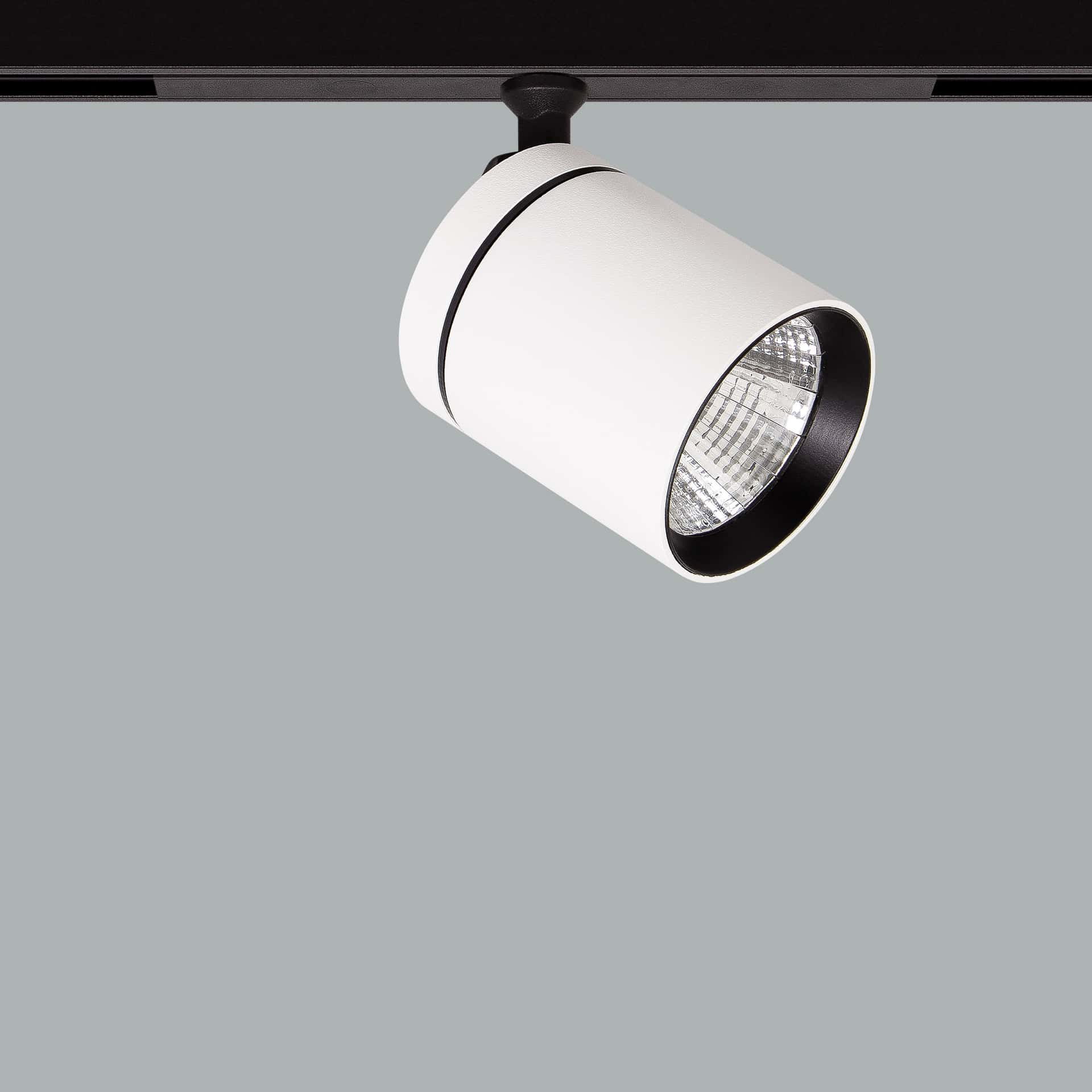 Firefly 48V Maxi - image 2