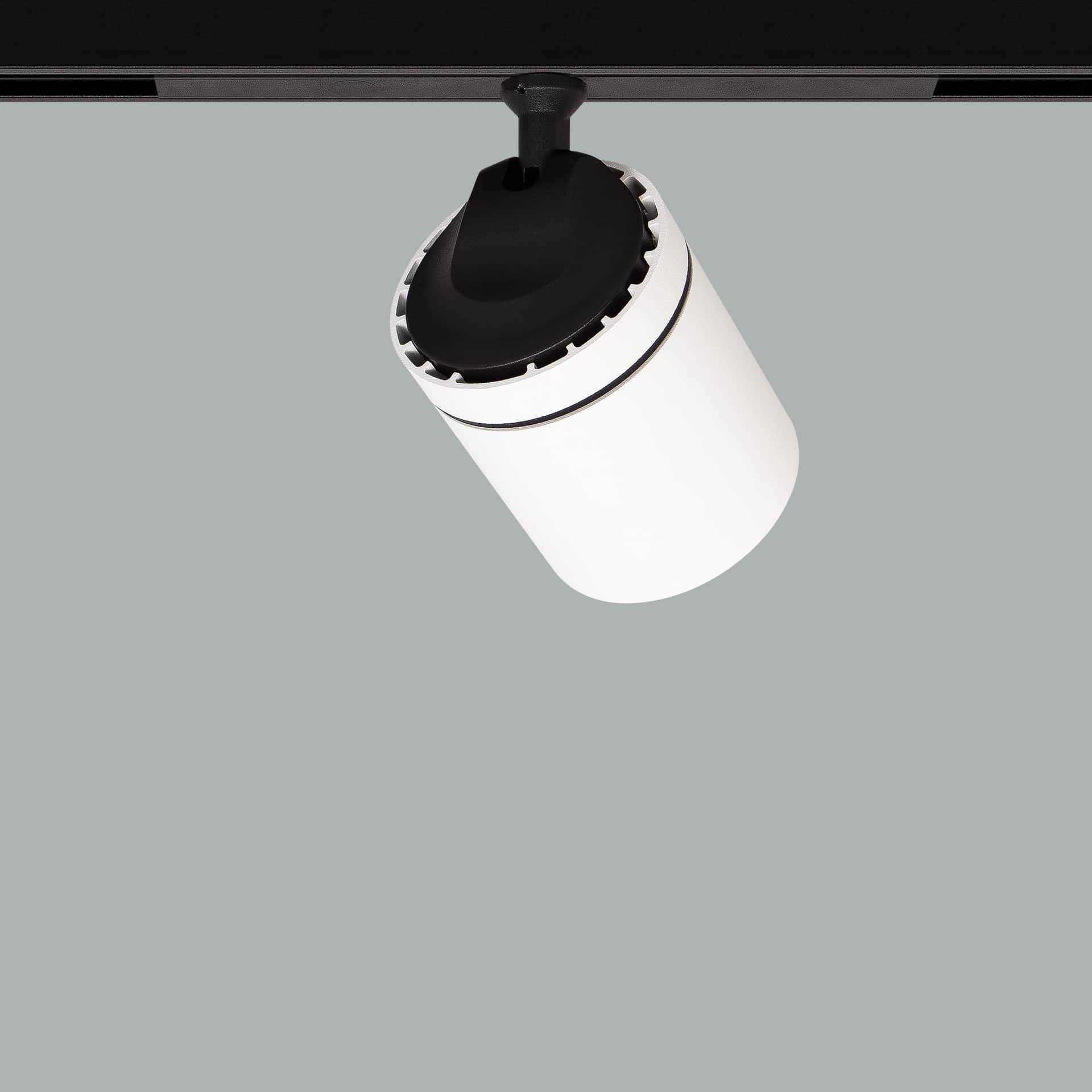 Firefly 48V Maxi - image 4