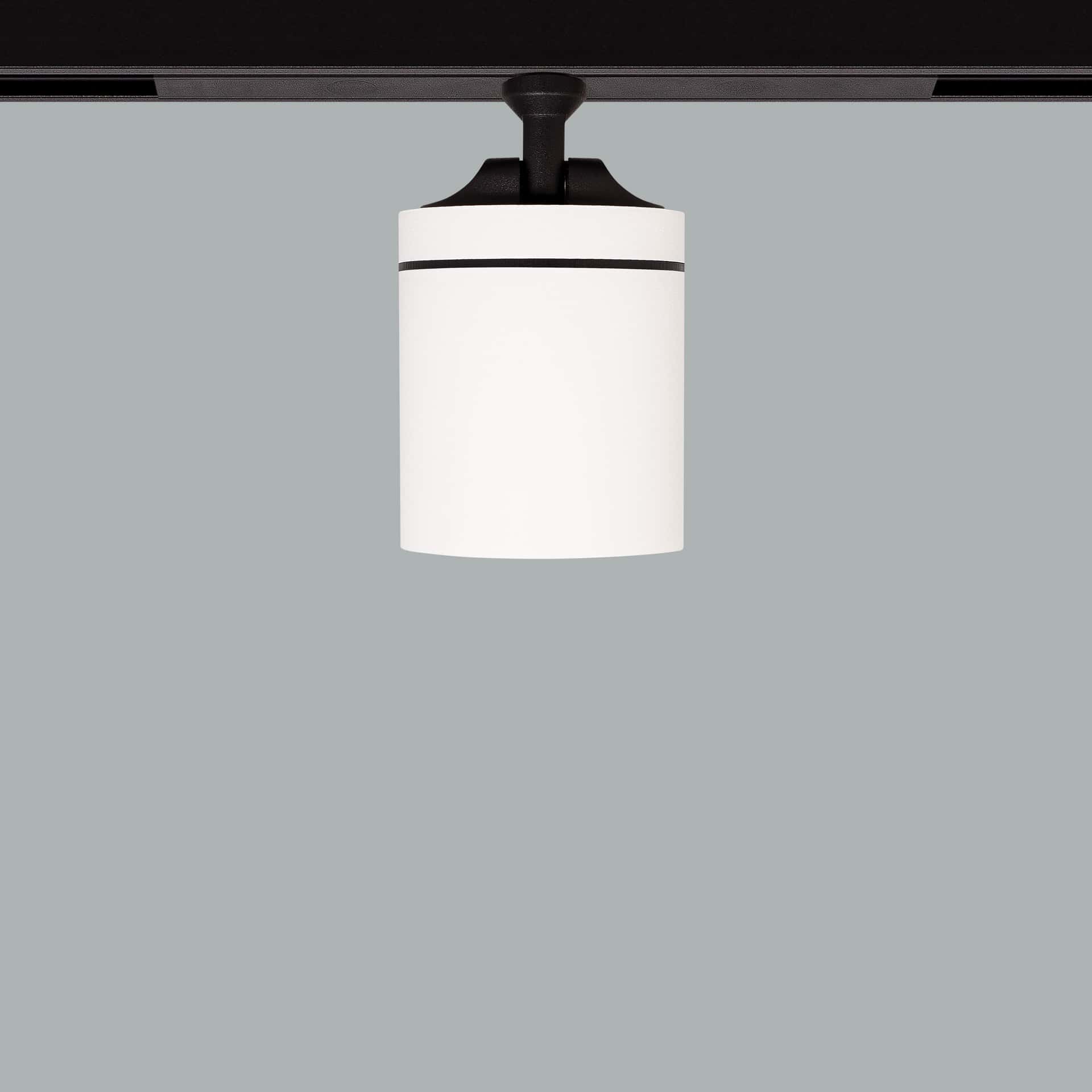 Firefly 48V Maxi - image 5