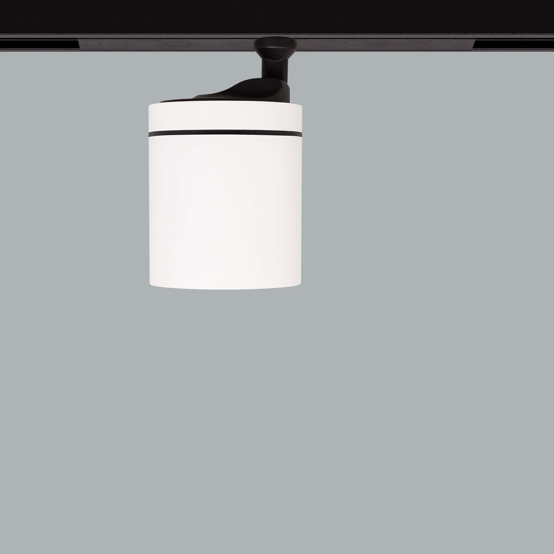 Firefly 48V Maxi - image 6
