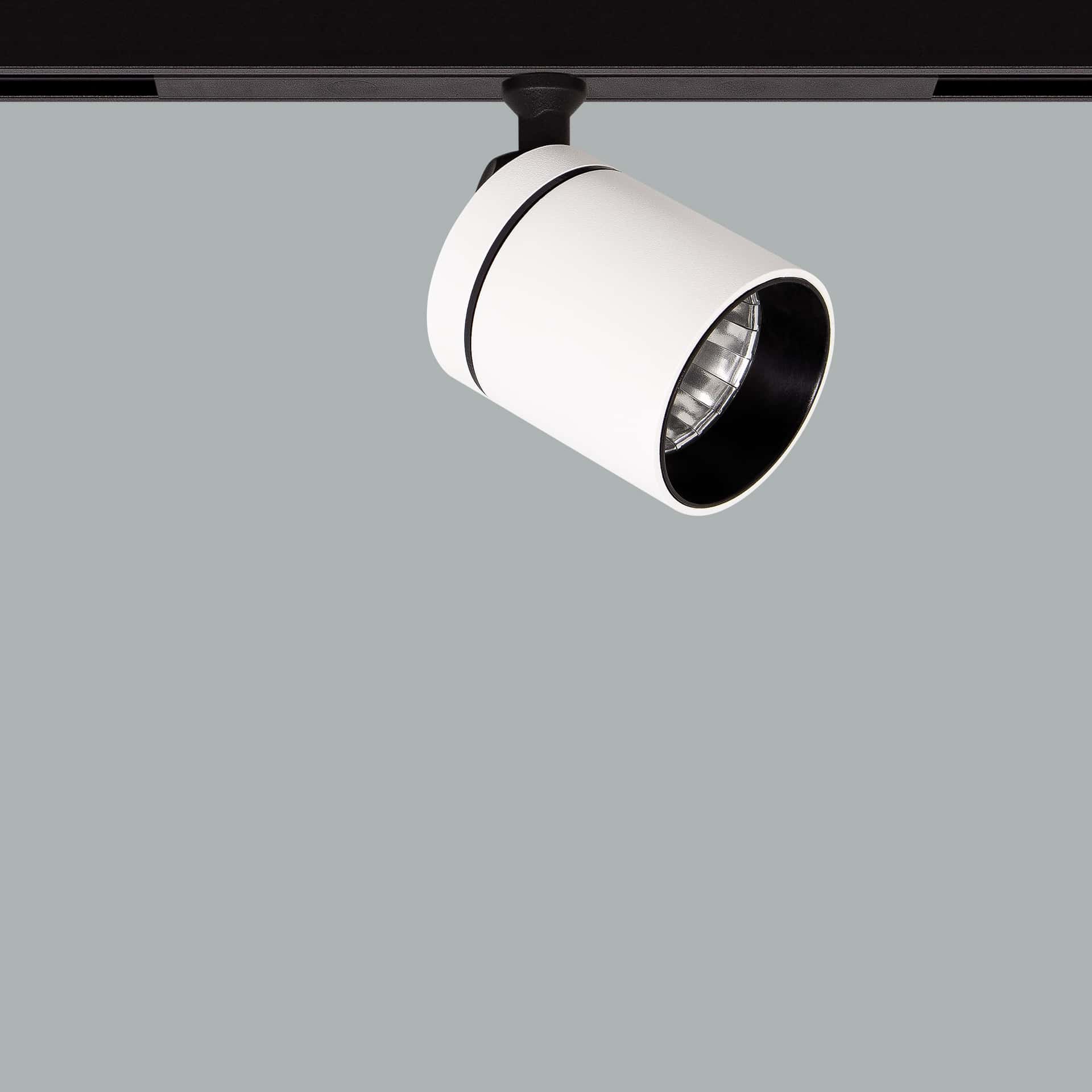 Firefly 48V Midi - image 2