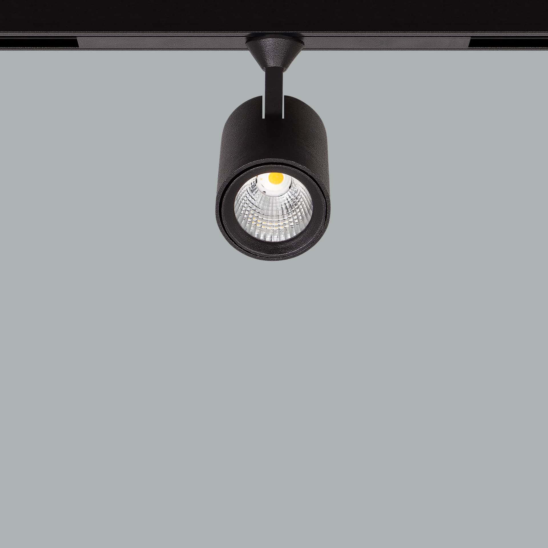 Pico 48V - image 5