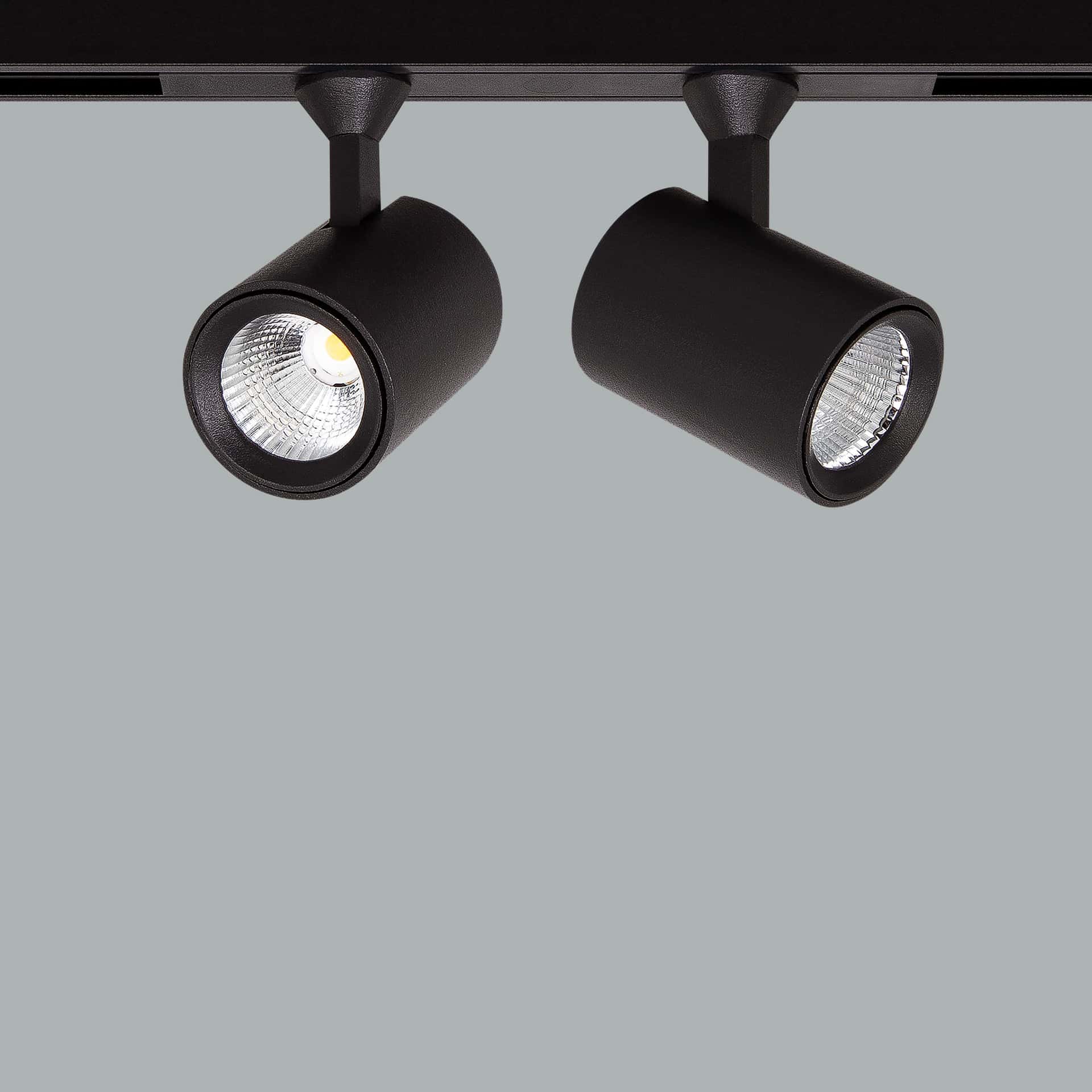 Pico 48V - image 2