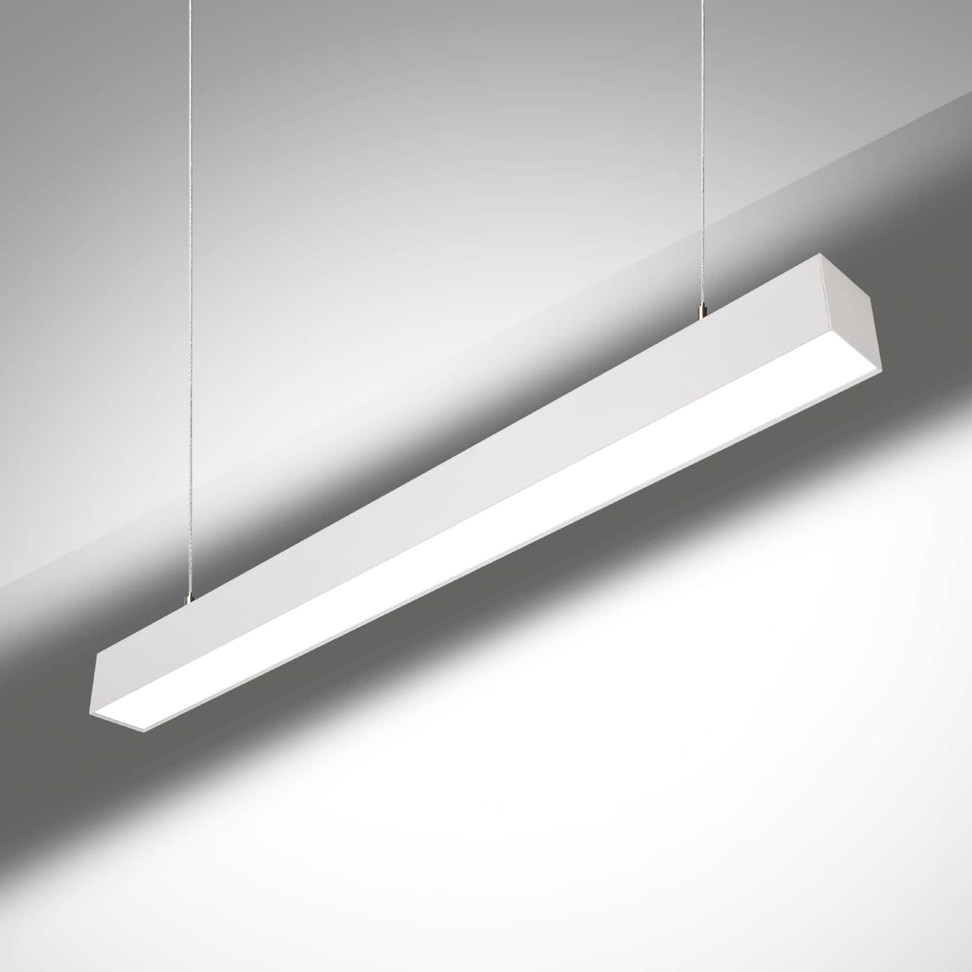 Cubus Direct / Indirect - image 2