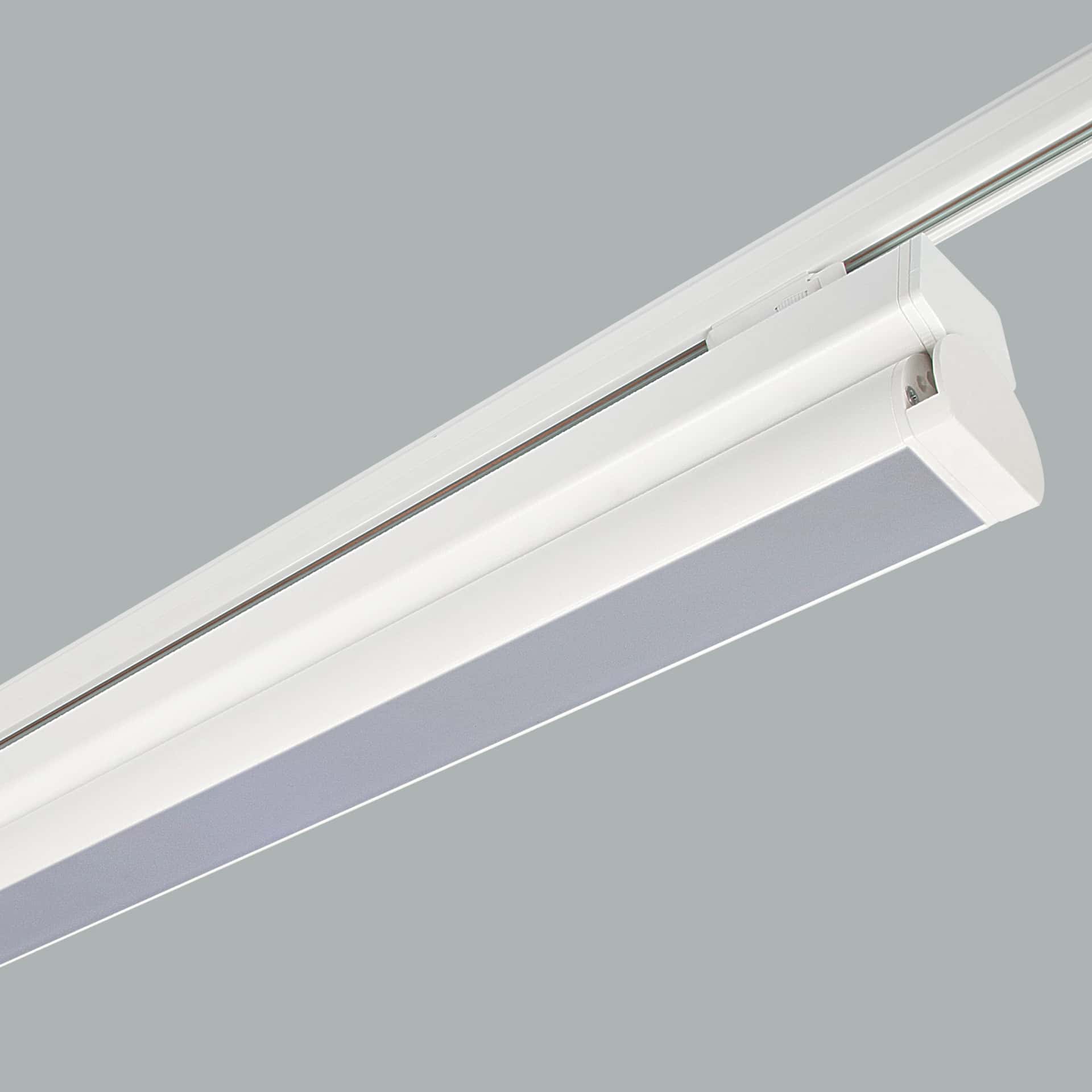 Rood Track Mounted - image 2
