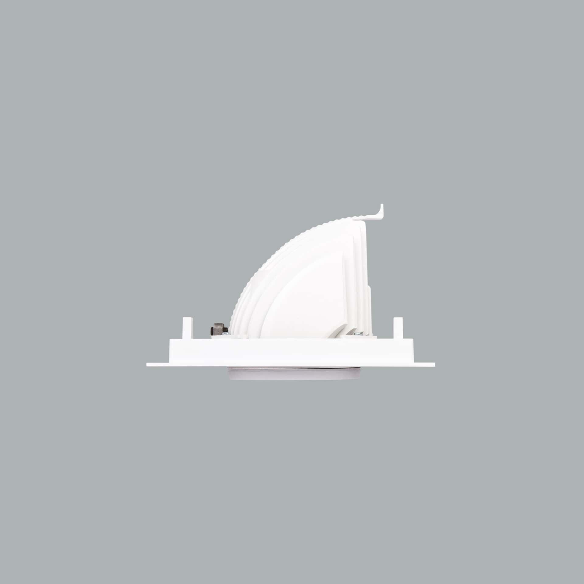 Mini Zebra - image 6