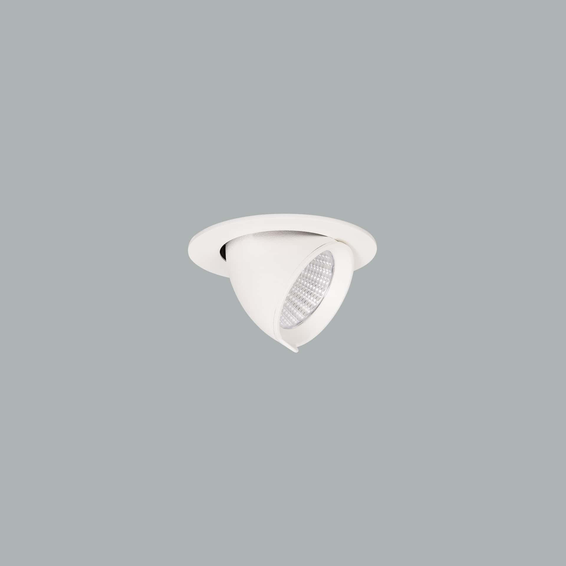 Micro Zebra - image 2