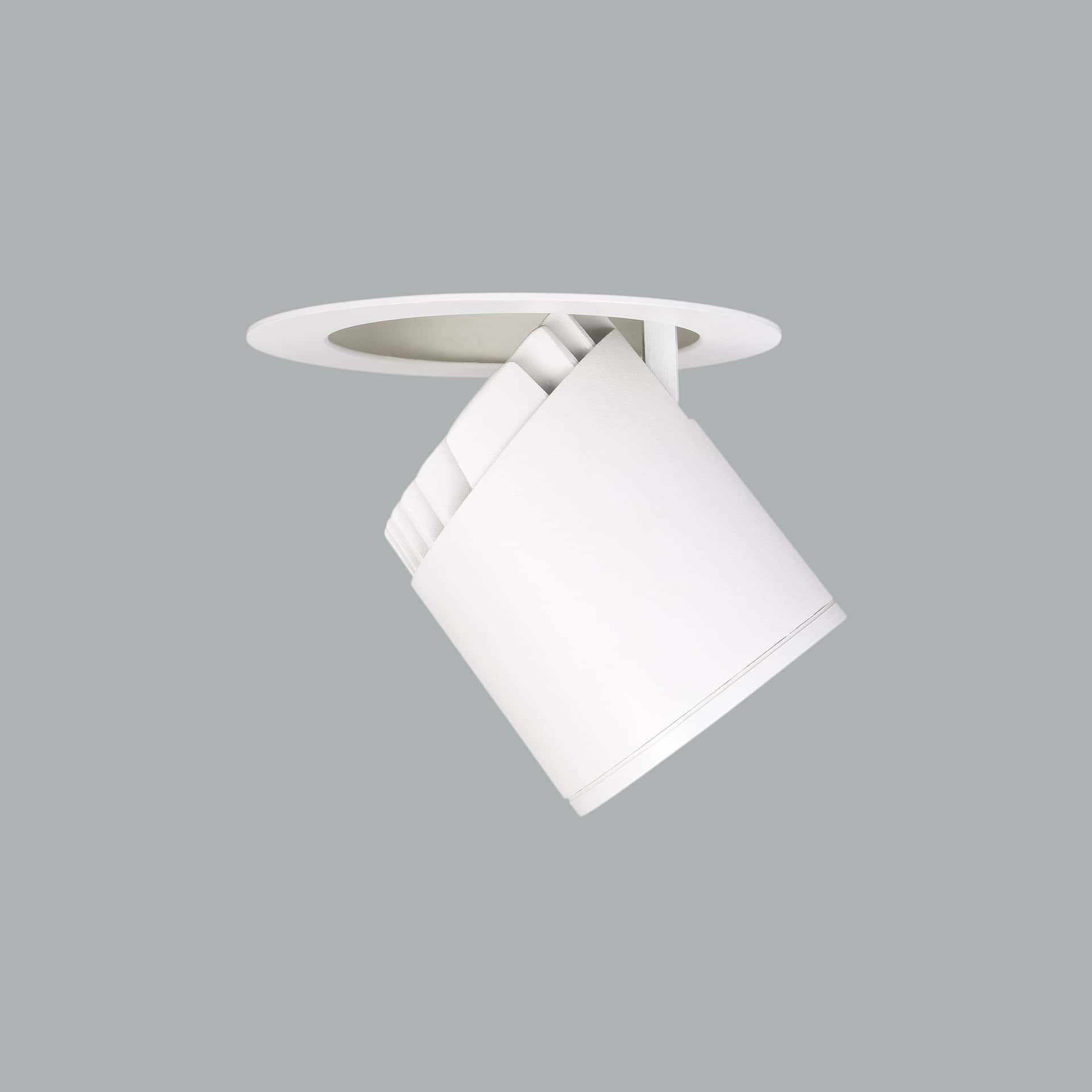 Dragon - image 7