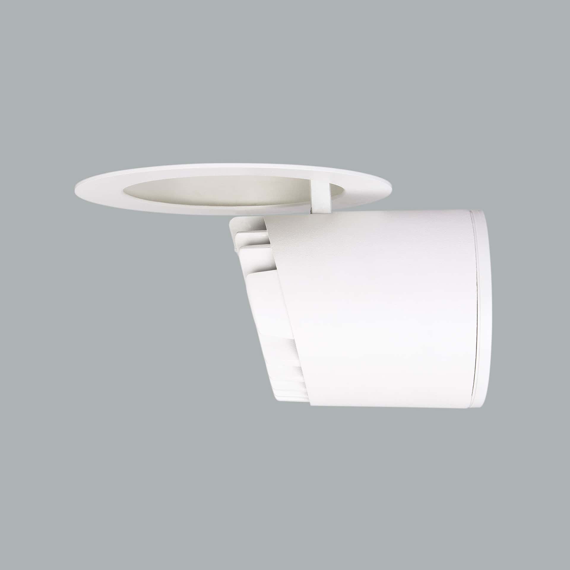 Dragon - image 8