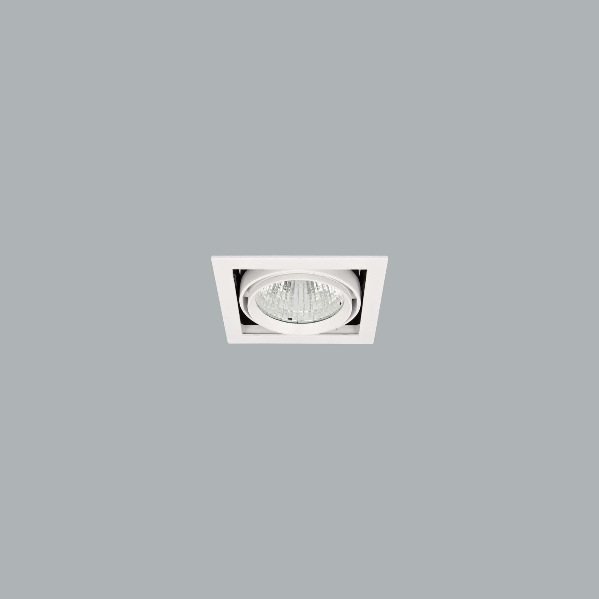 Manna - image 2