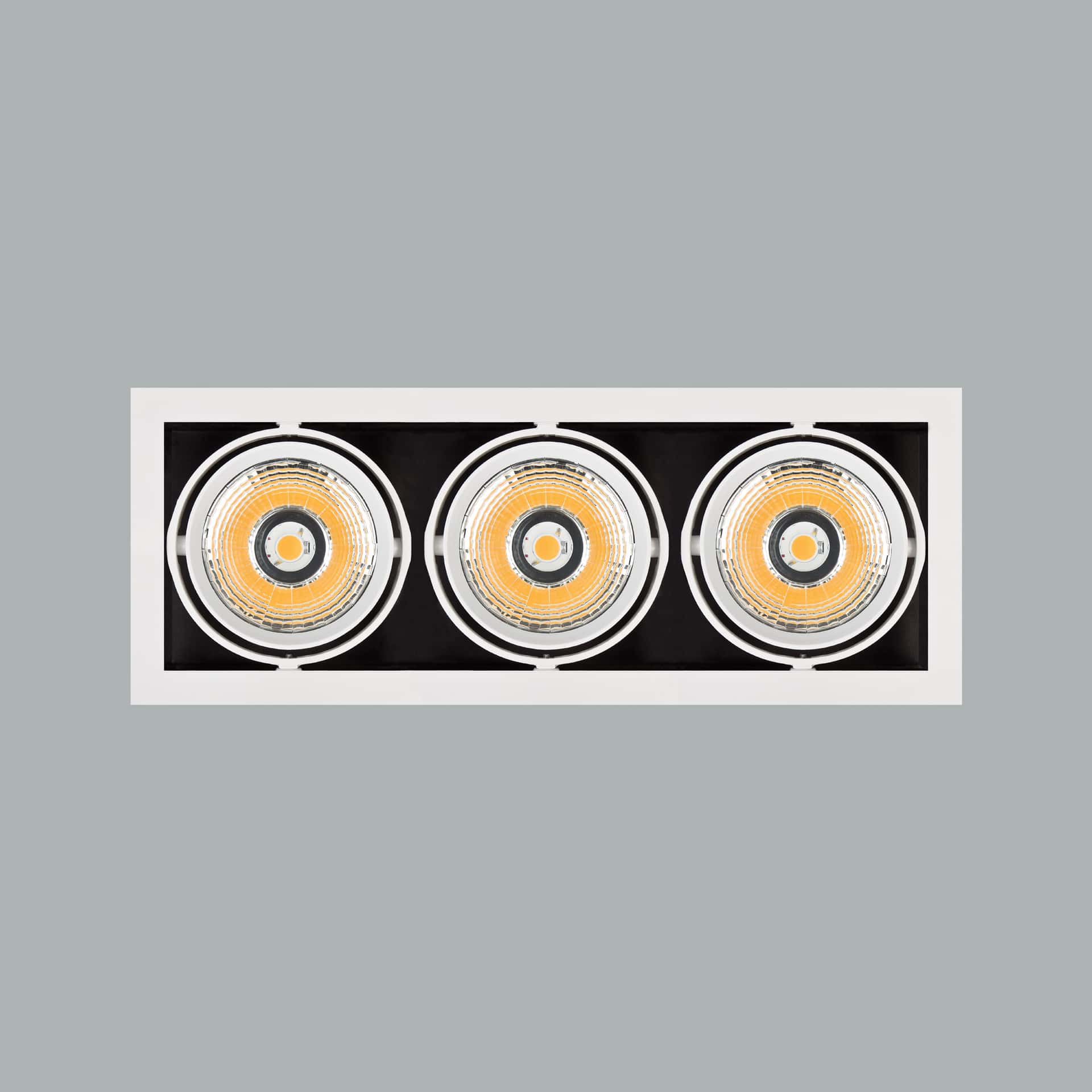 Manna - image 3