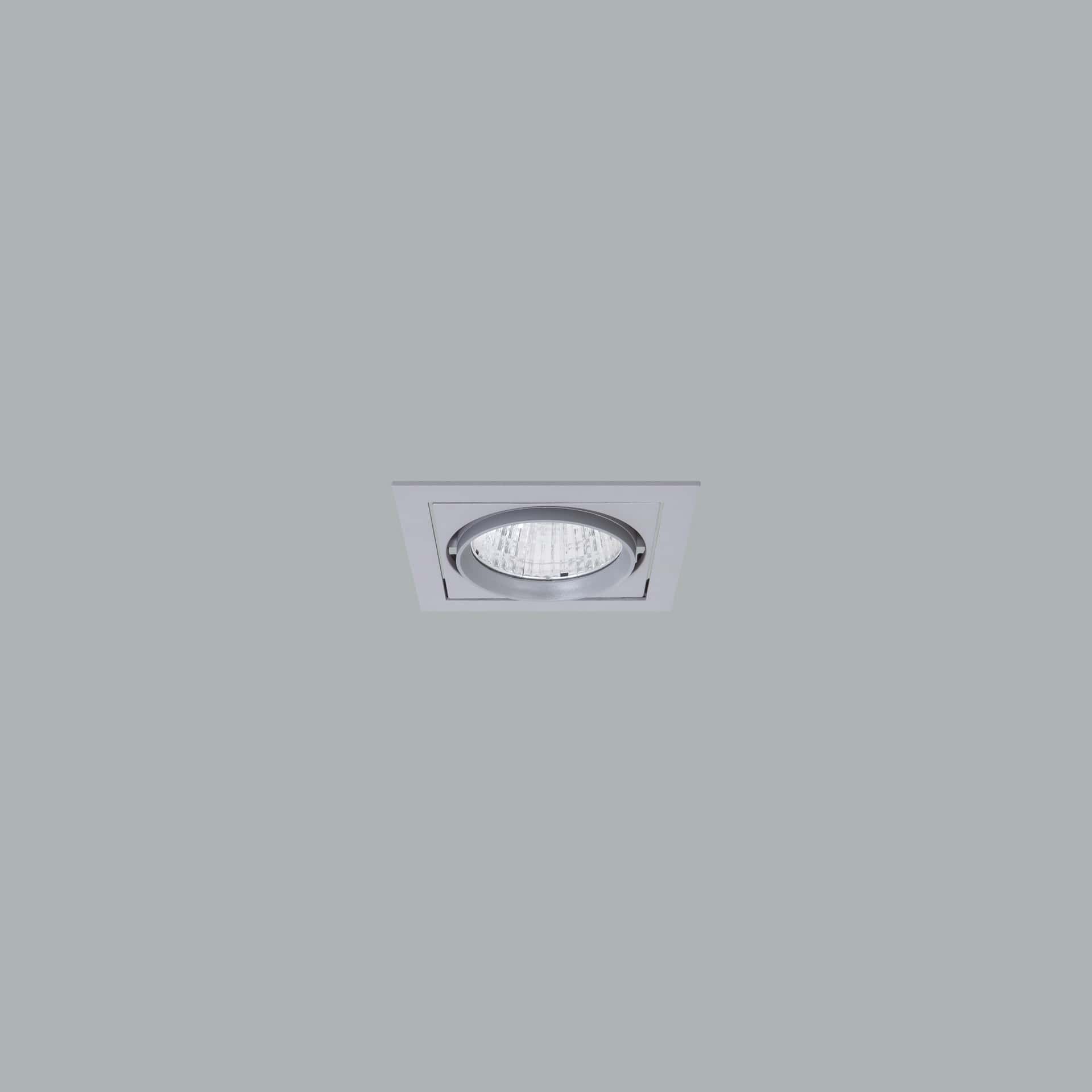 Mofos - image 2