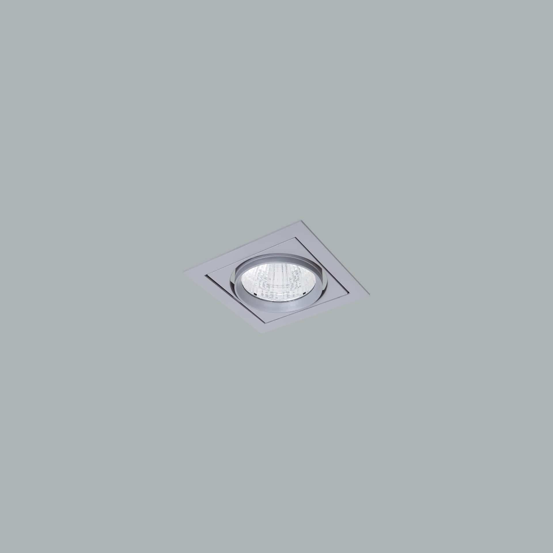 Mofos - image 7