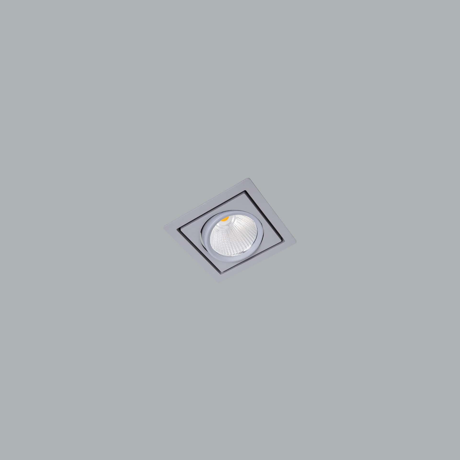 Mini Mofos - image 8
