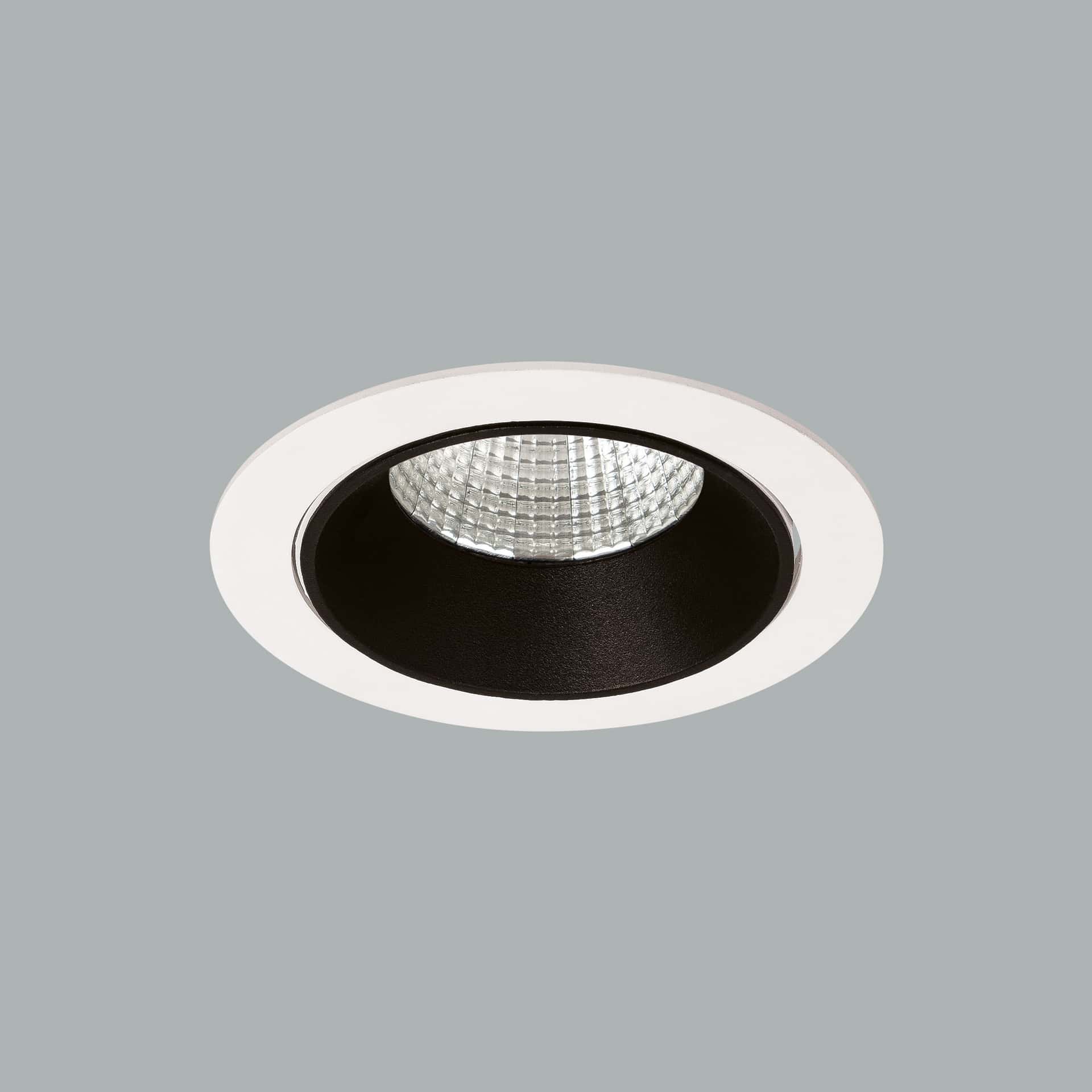 Evora Maxi - image 2