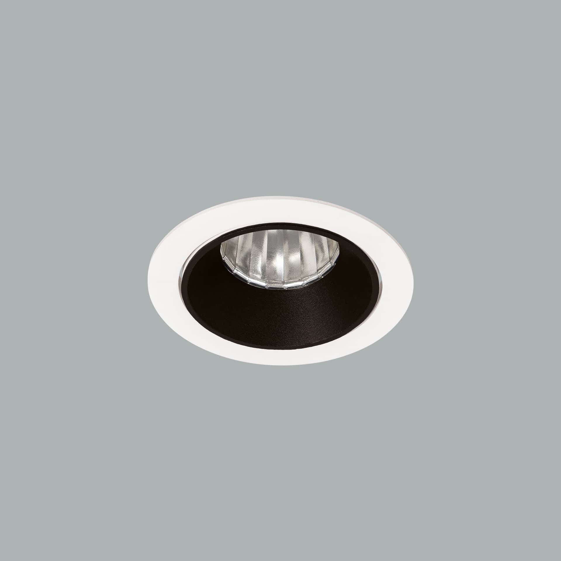 Evora Midi - image 2