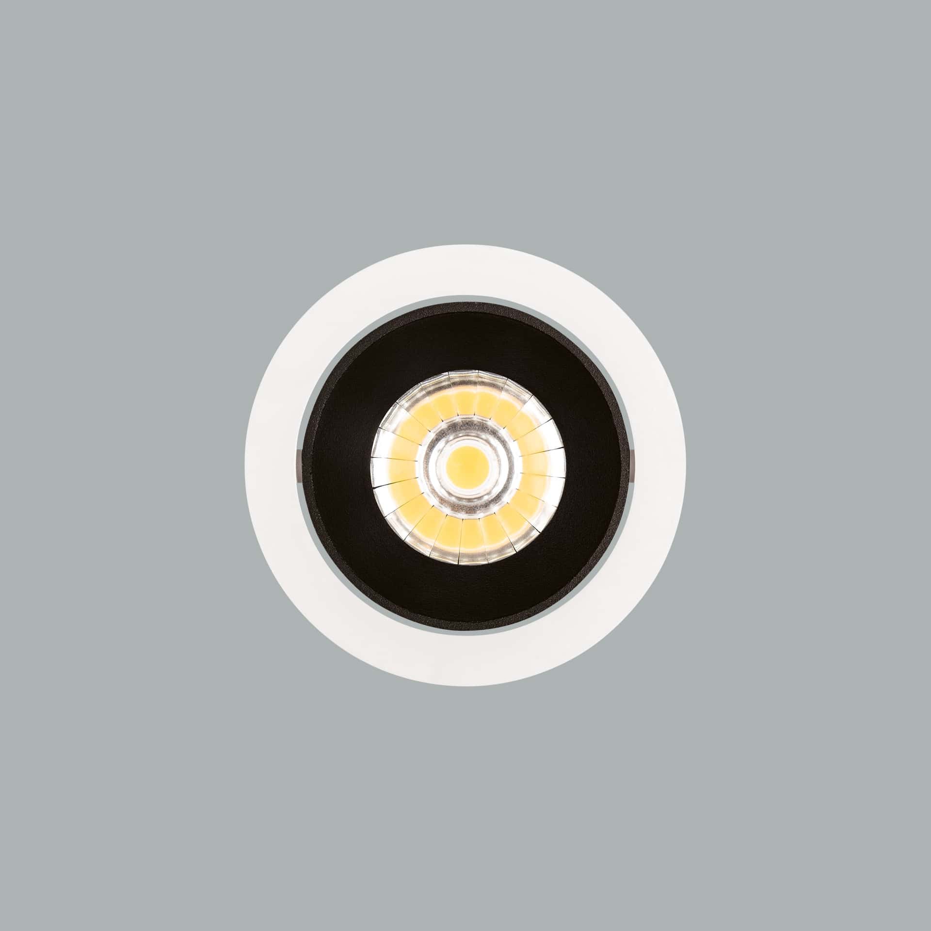 Evora Midi - image 5
