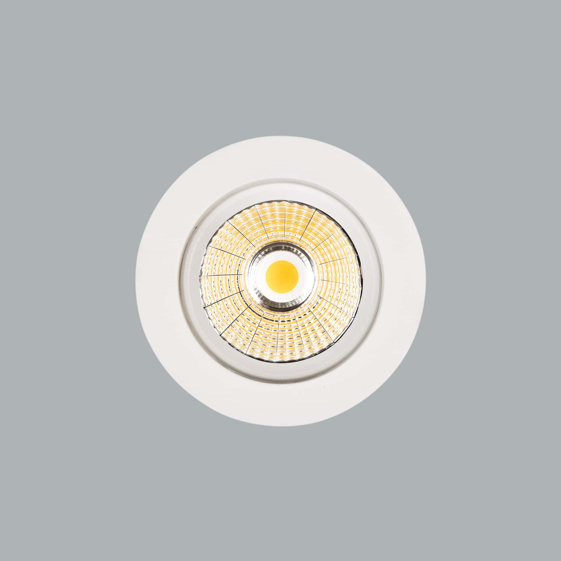 Darklight - Bild 3