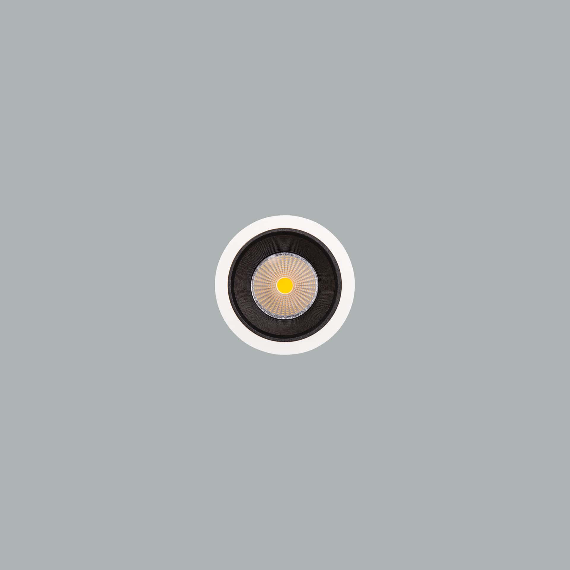 Darklight - Bild 3