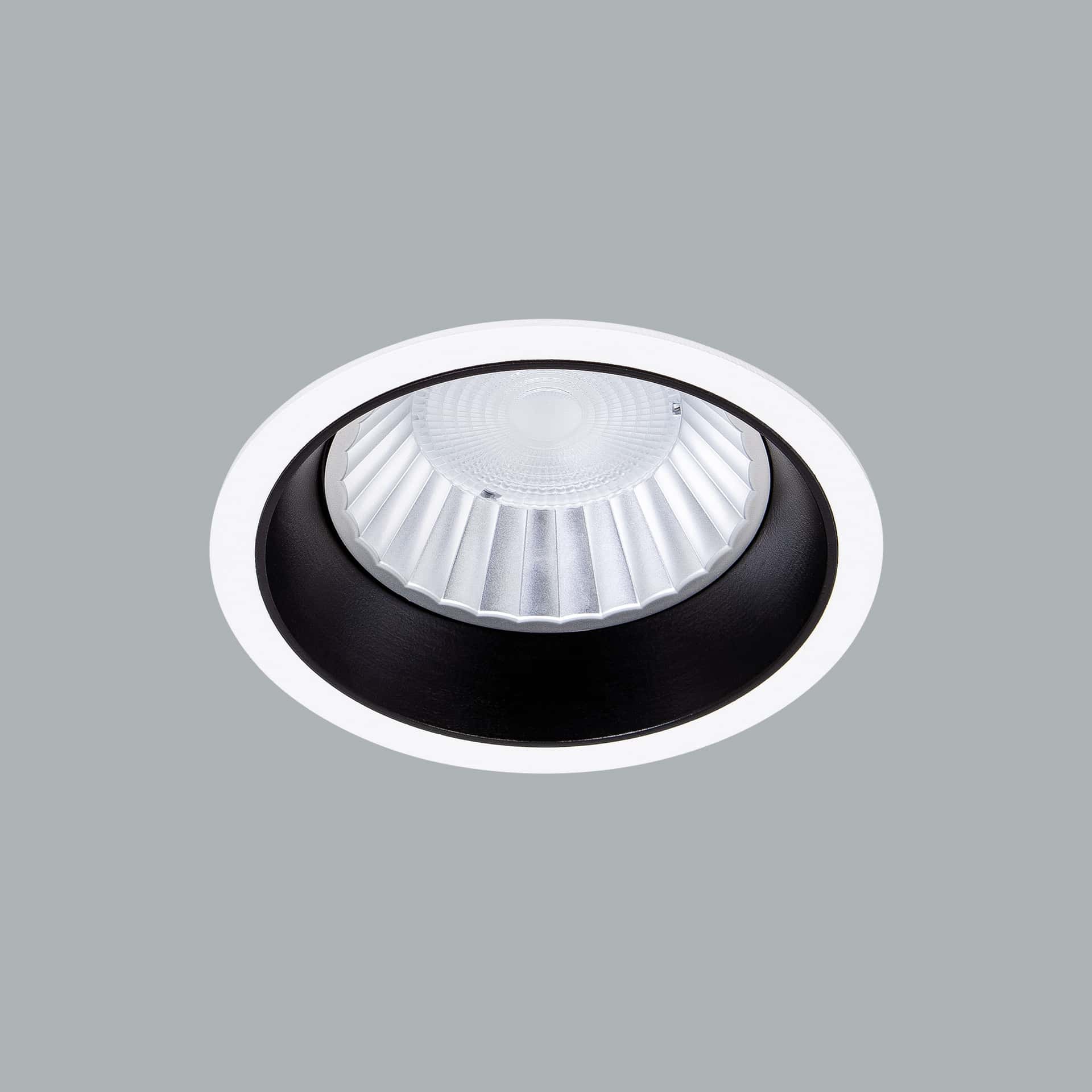 Fora Maxi - image 2