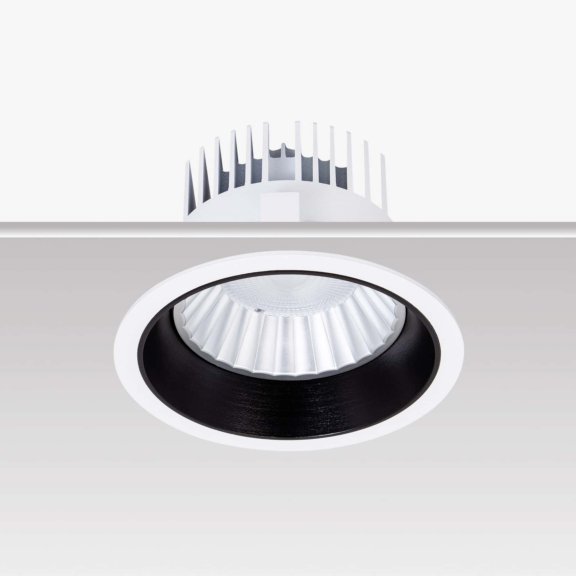 Fora Maxi - image 4