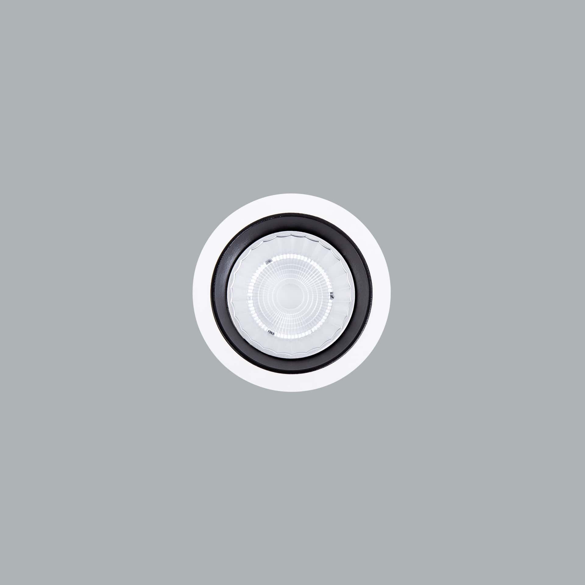 Fora Mini - image 3