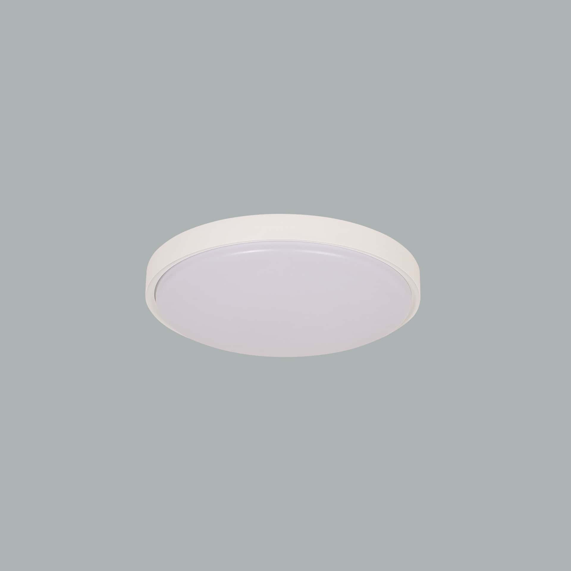 Plafo - image 4