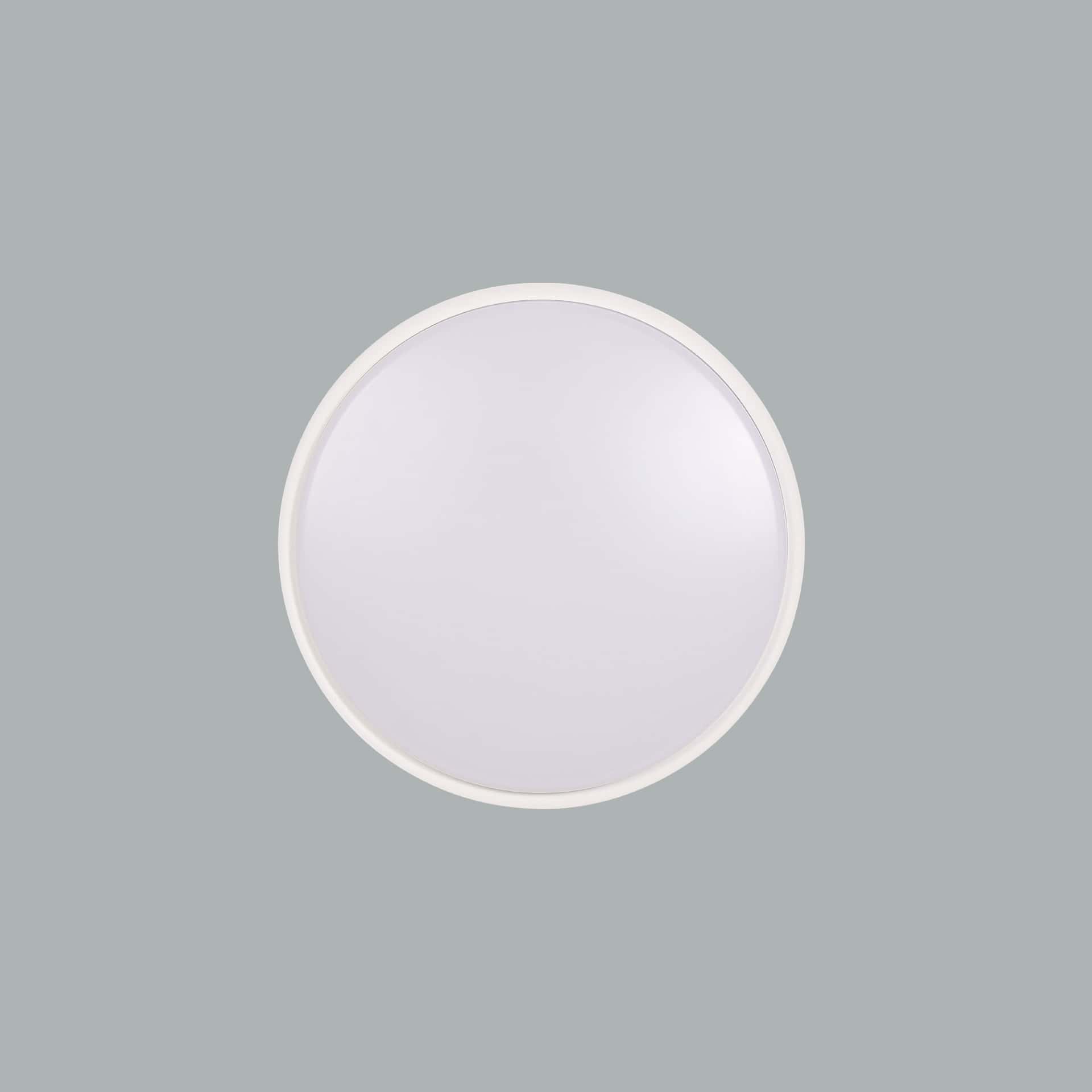 Plafo - image 7