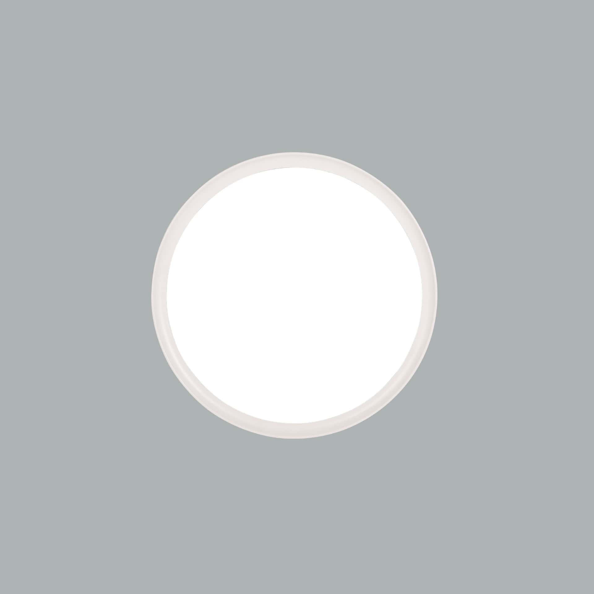 Plafo - image 11