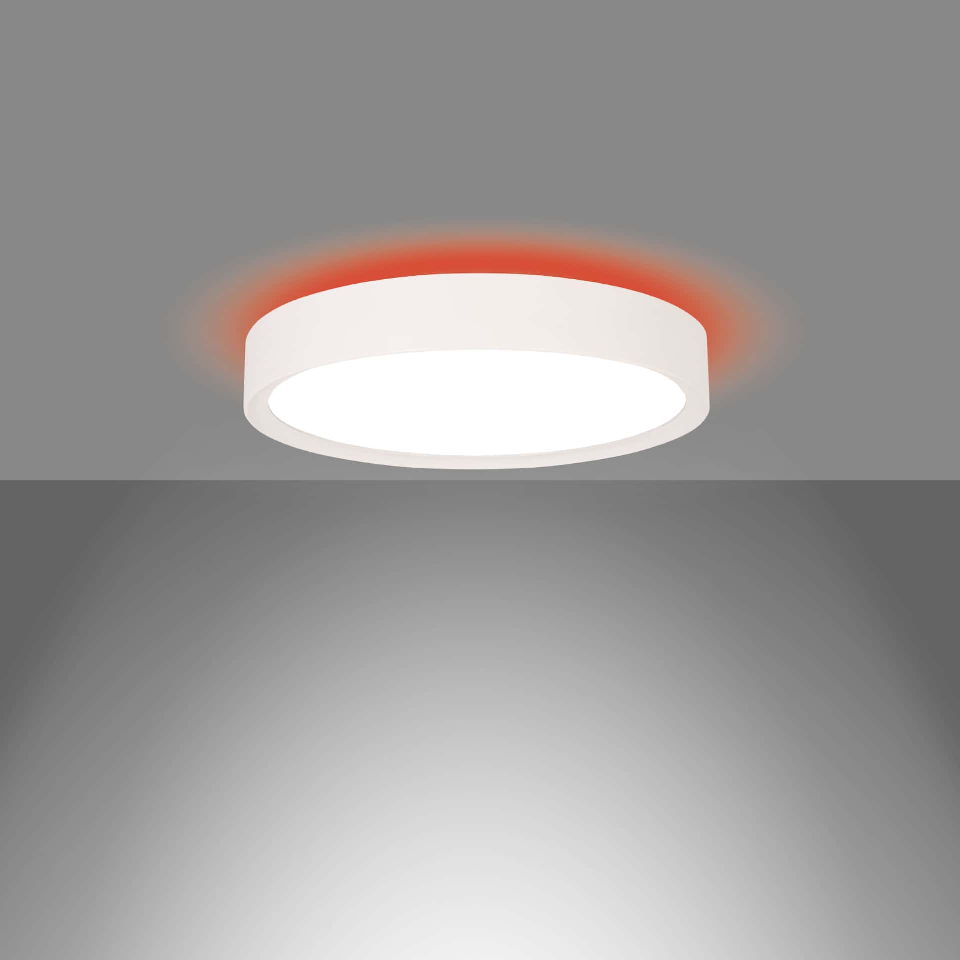 Plafo - image 3