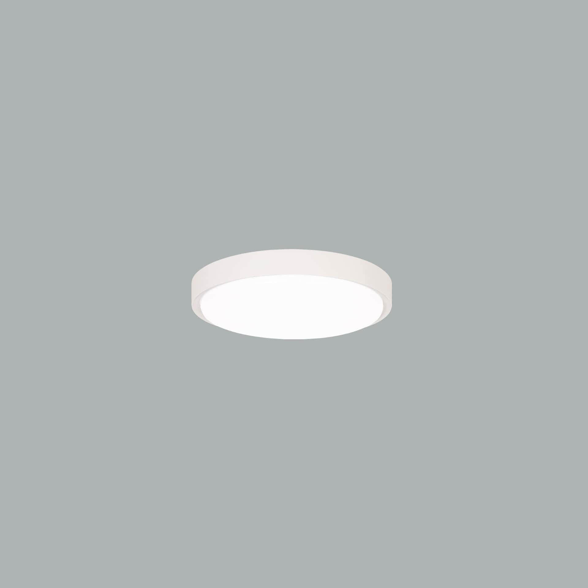 Plafo - image 4