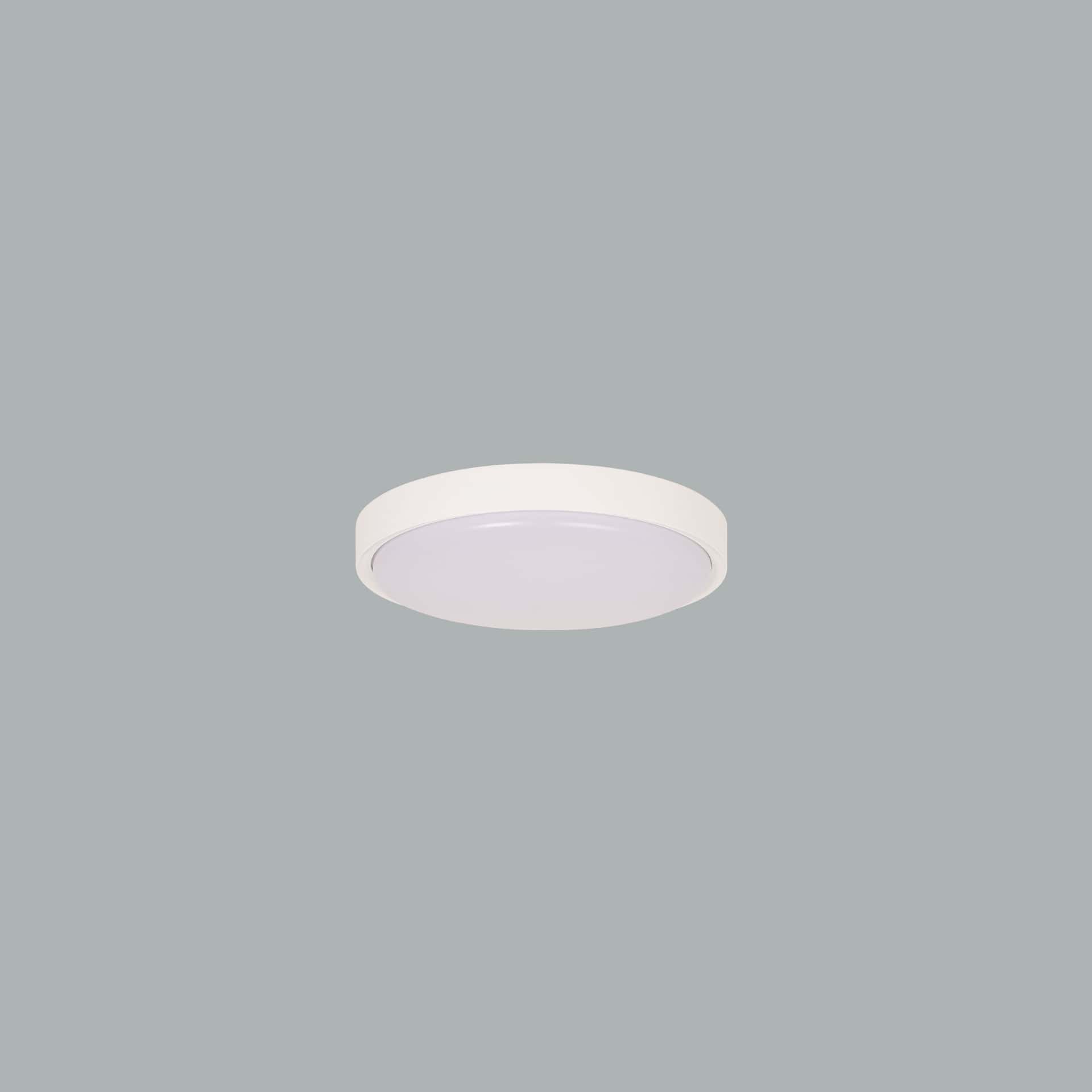 Plafo - image 5