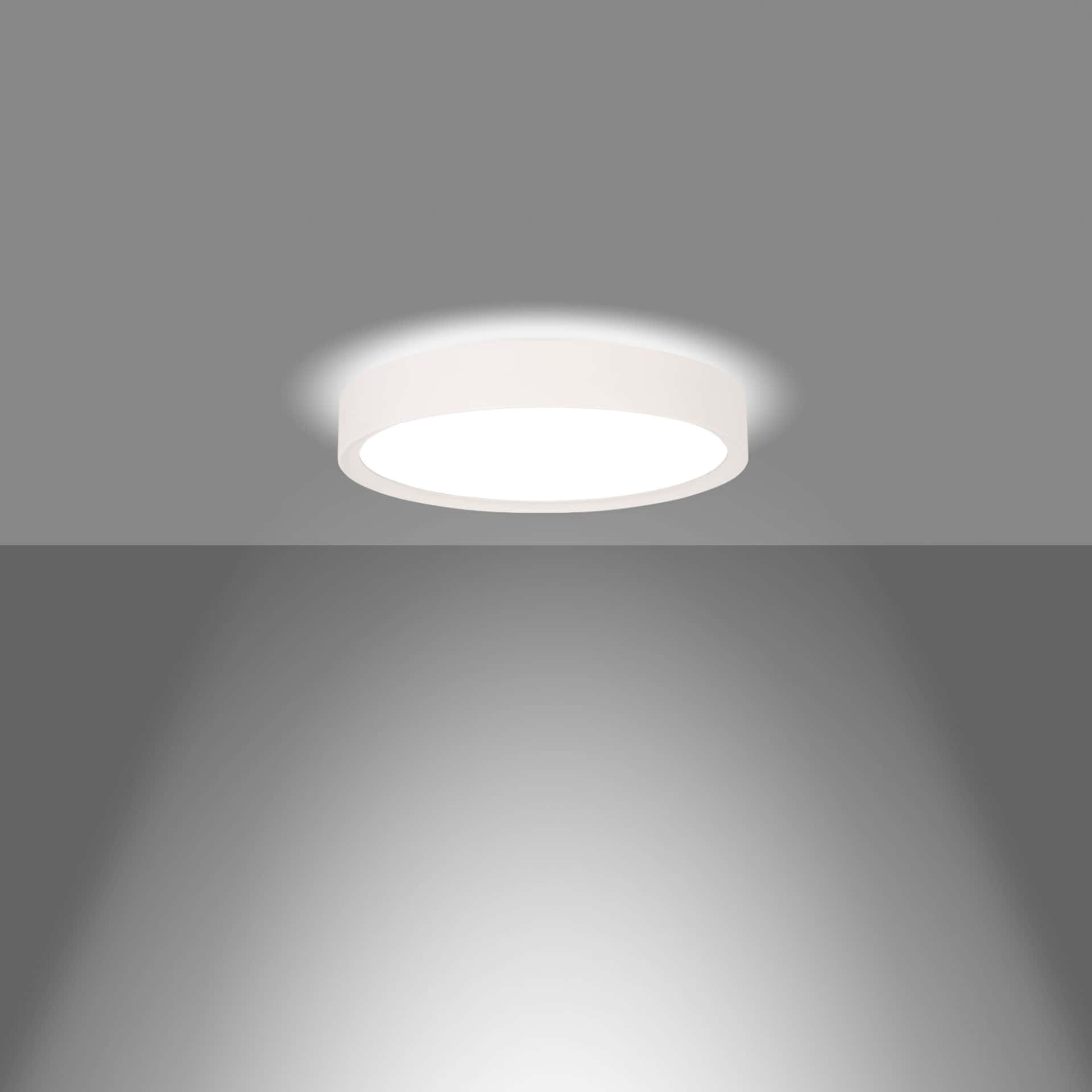 Plafo - image 7
