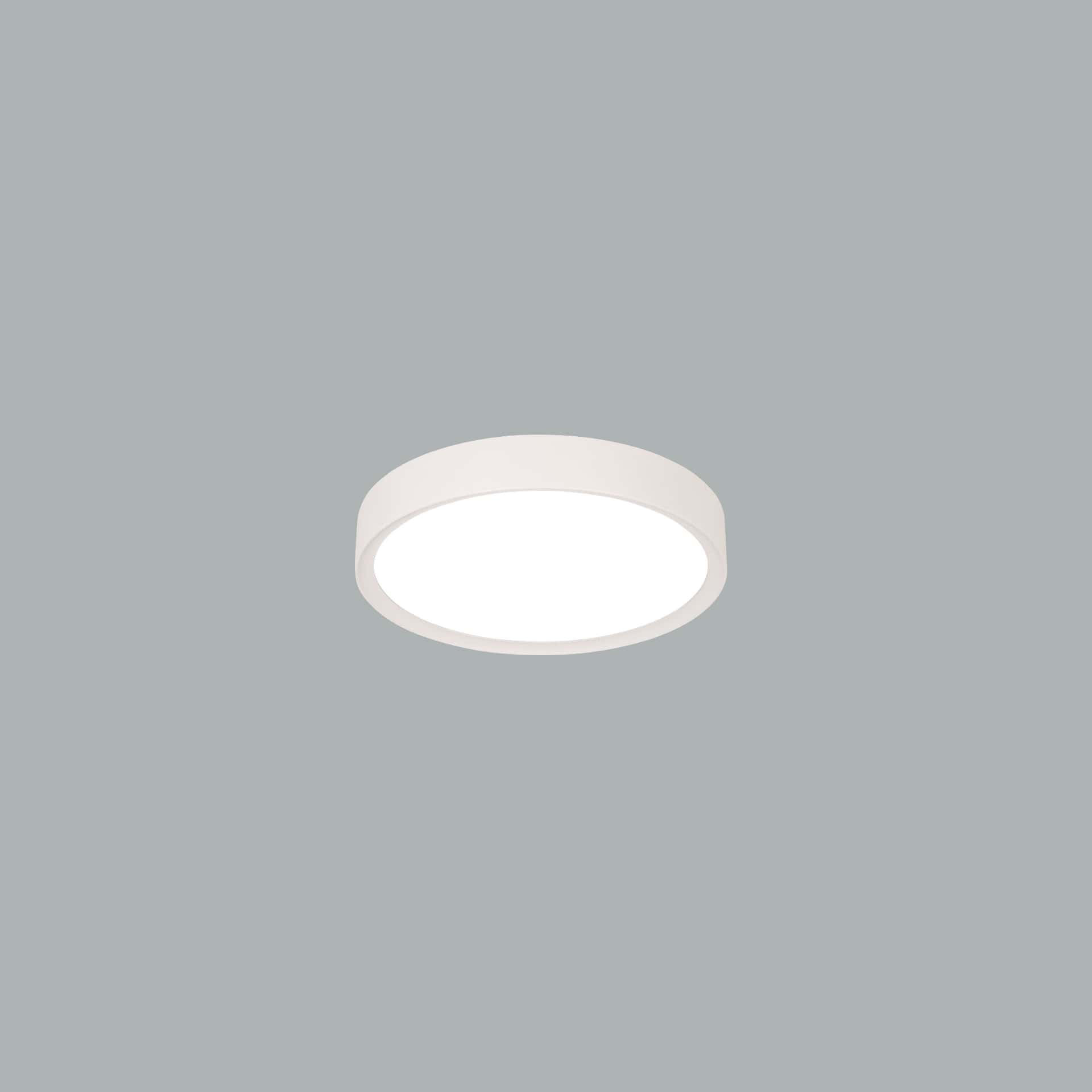 Plafo - image 8