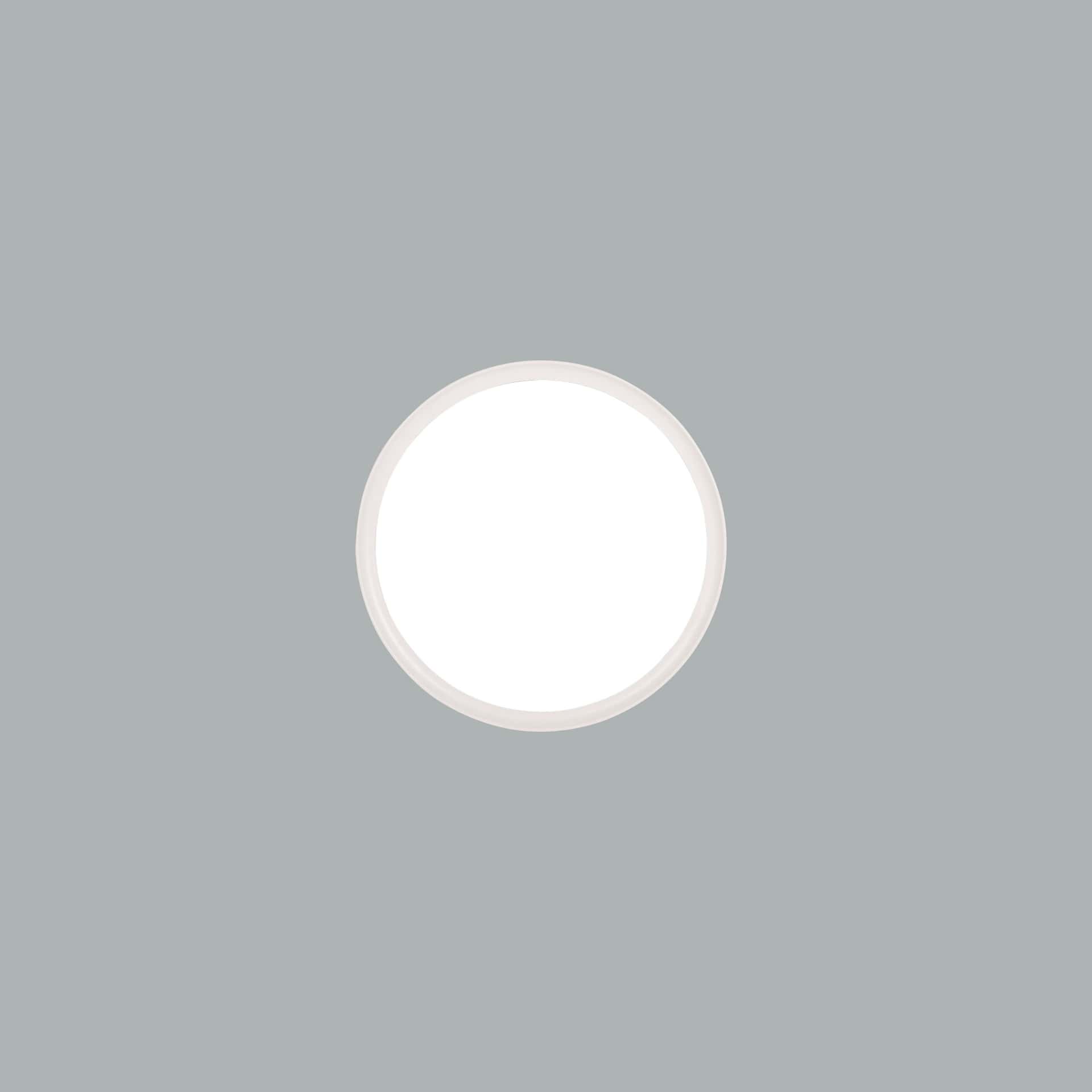 Plafo - image 10