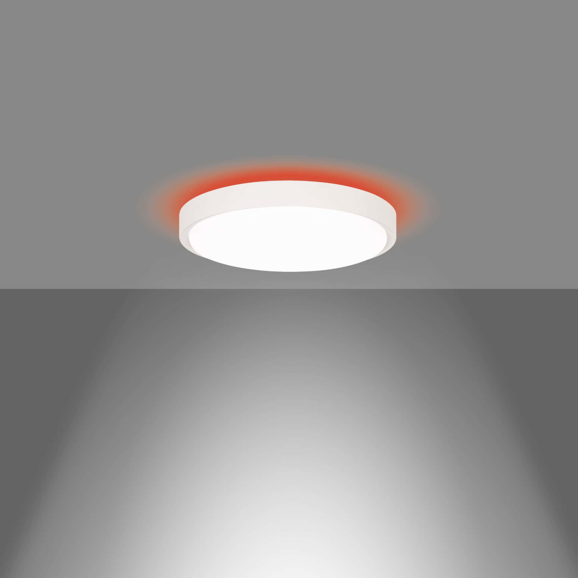 Plafo - image 2