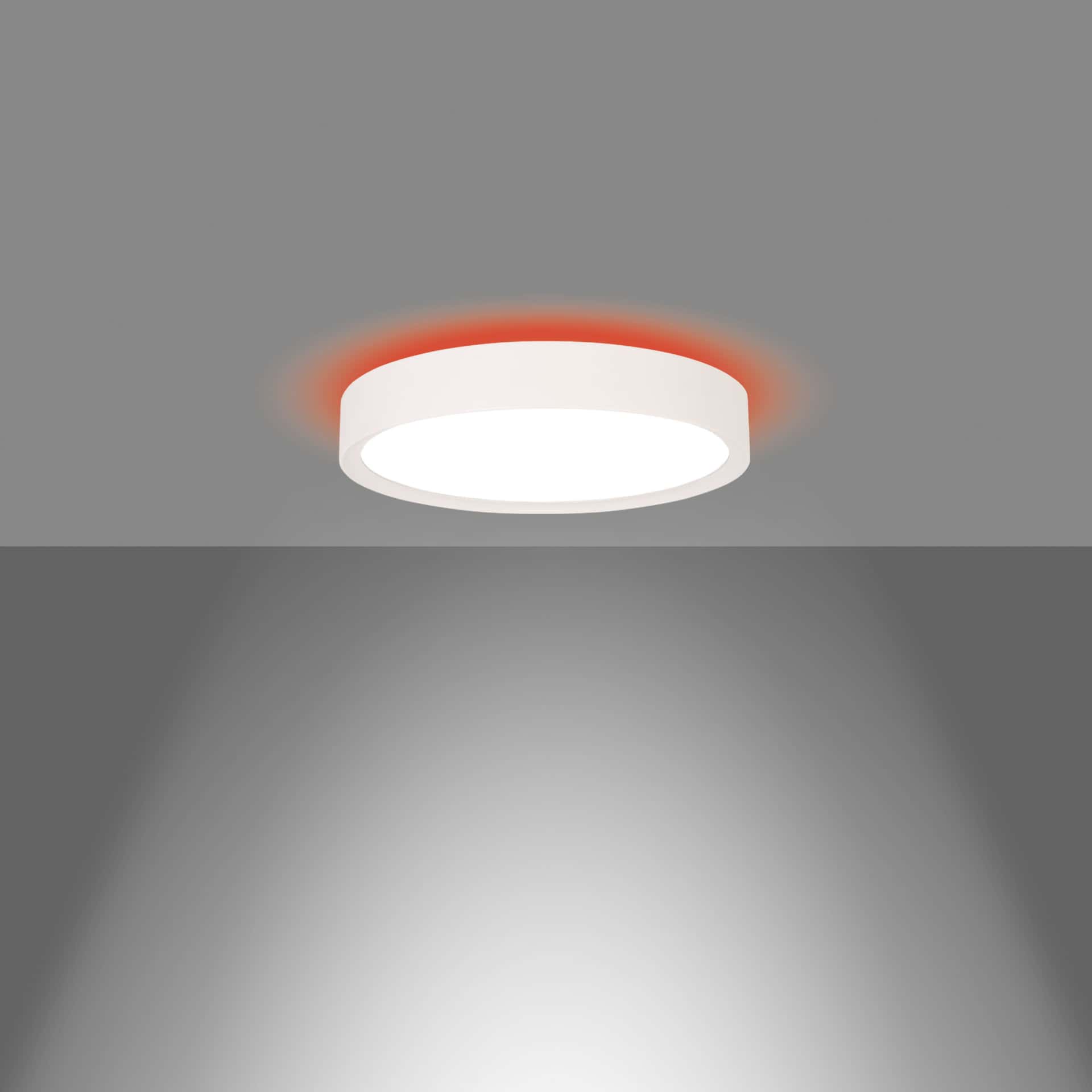 Plafo - image 3