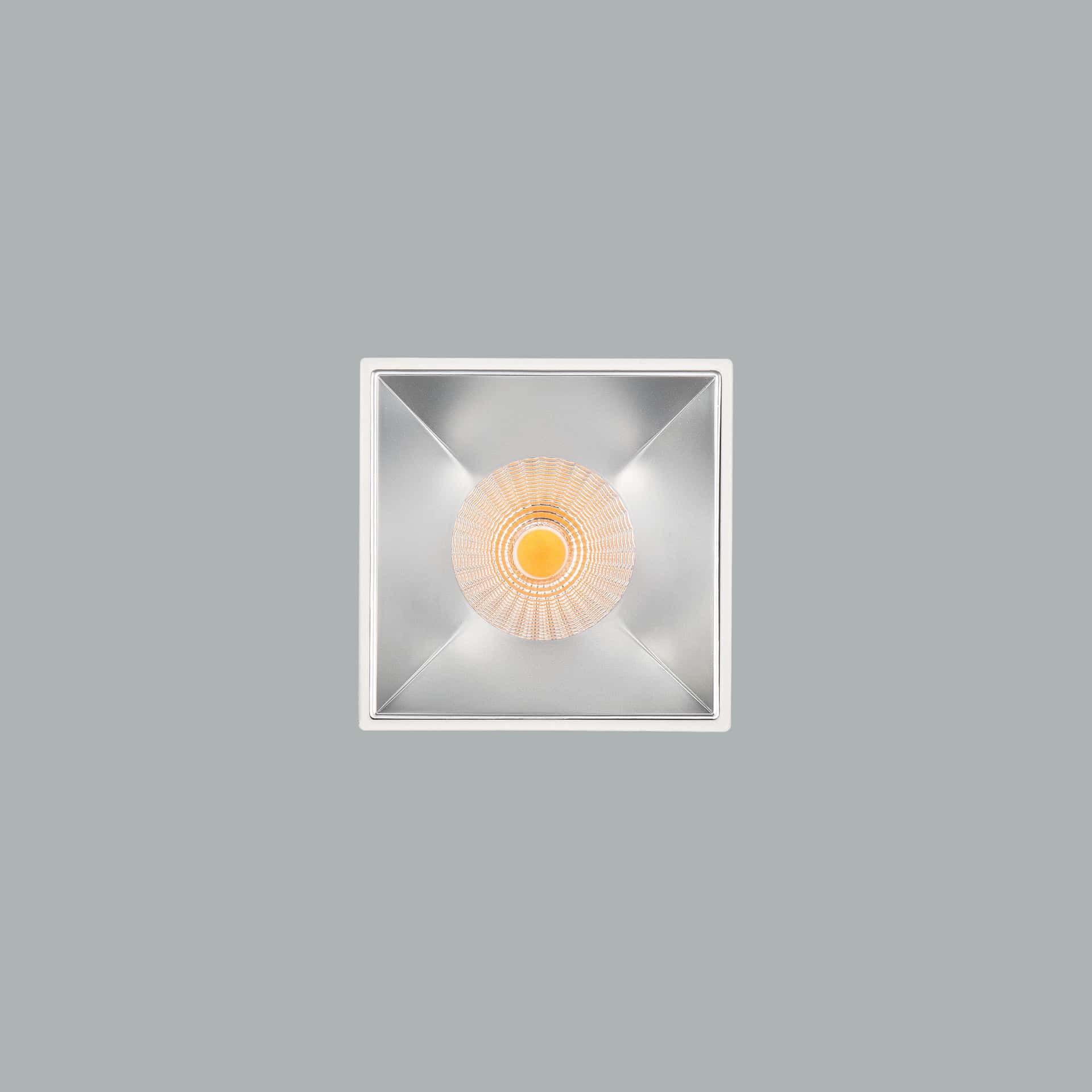 Deeptrim - image 3