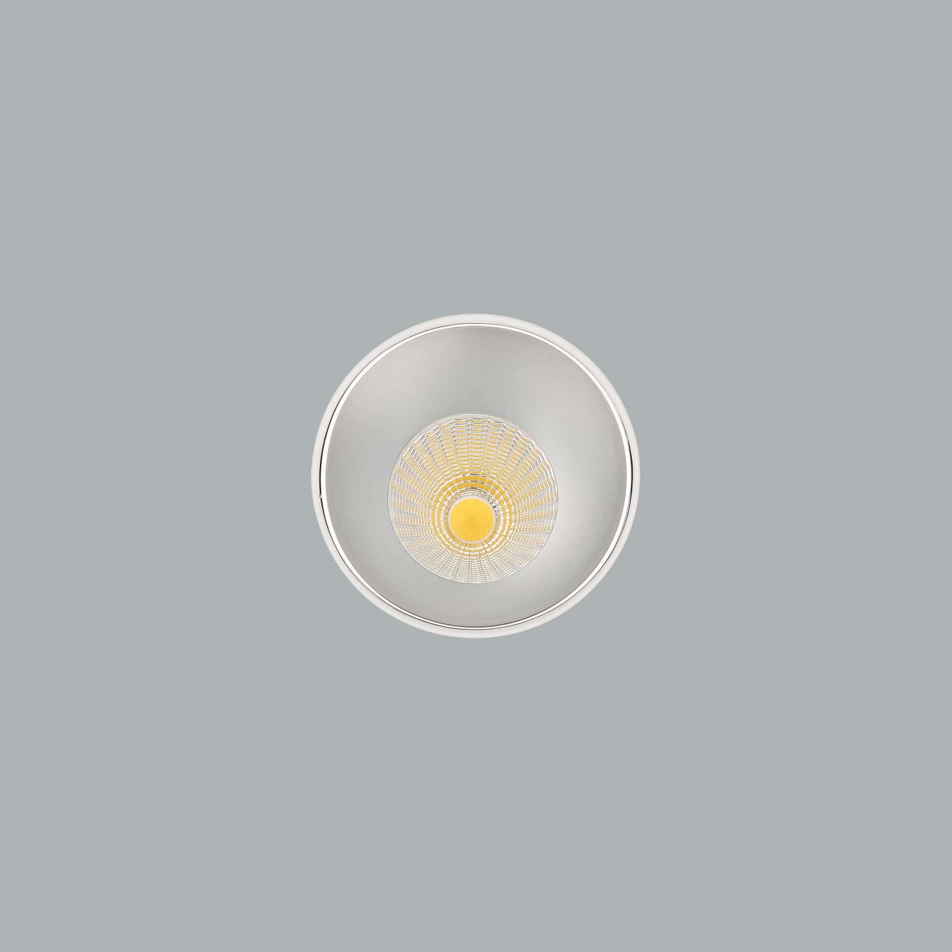 Deeptrim - image 3