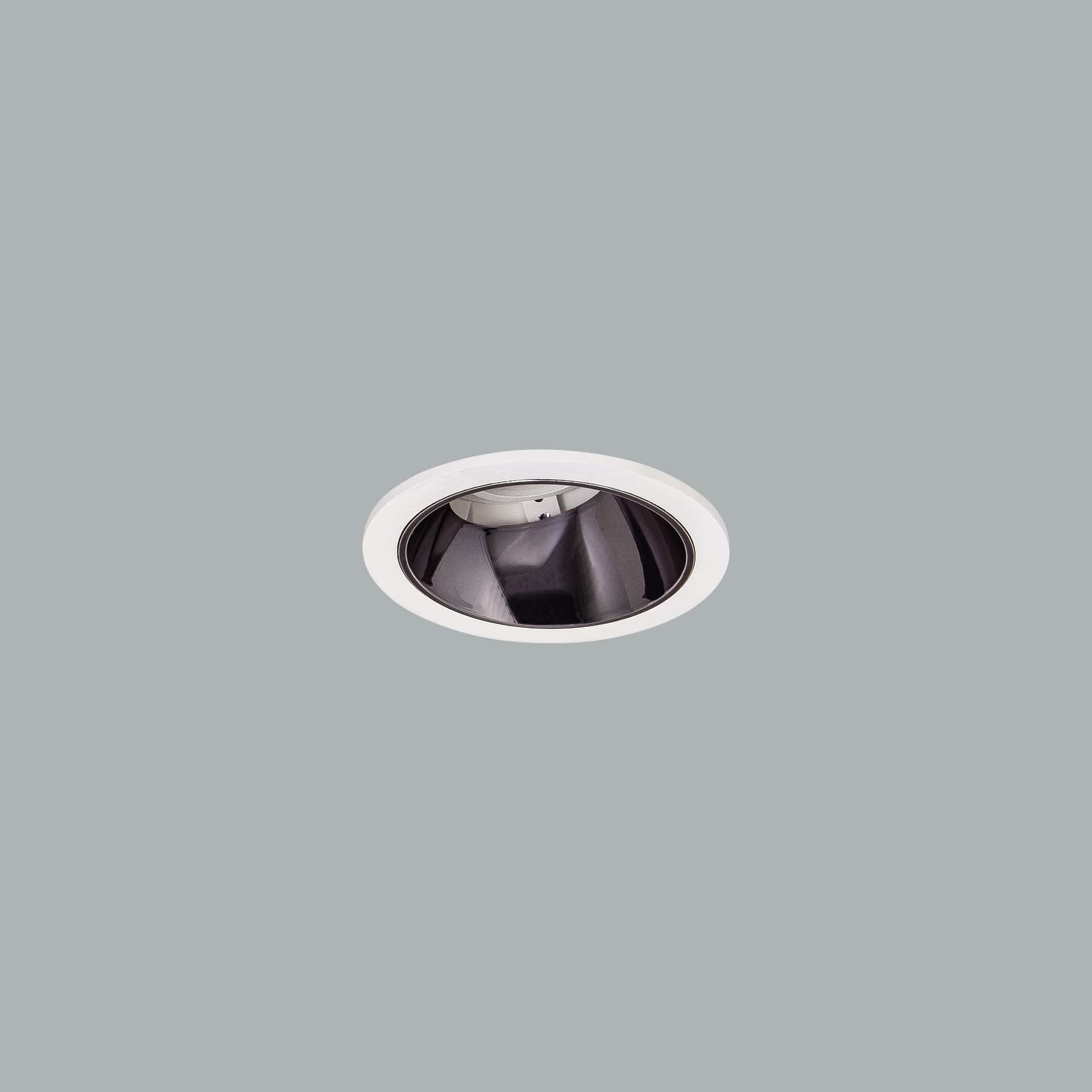 Indo Mini - image 2