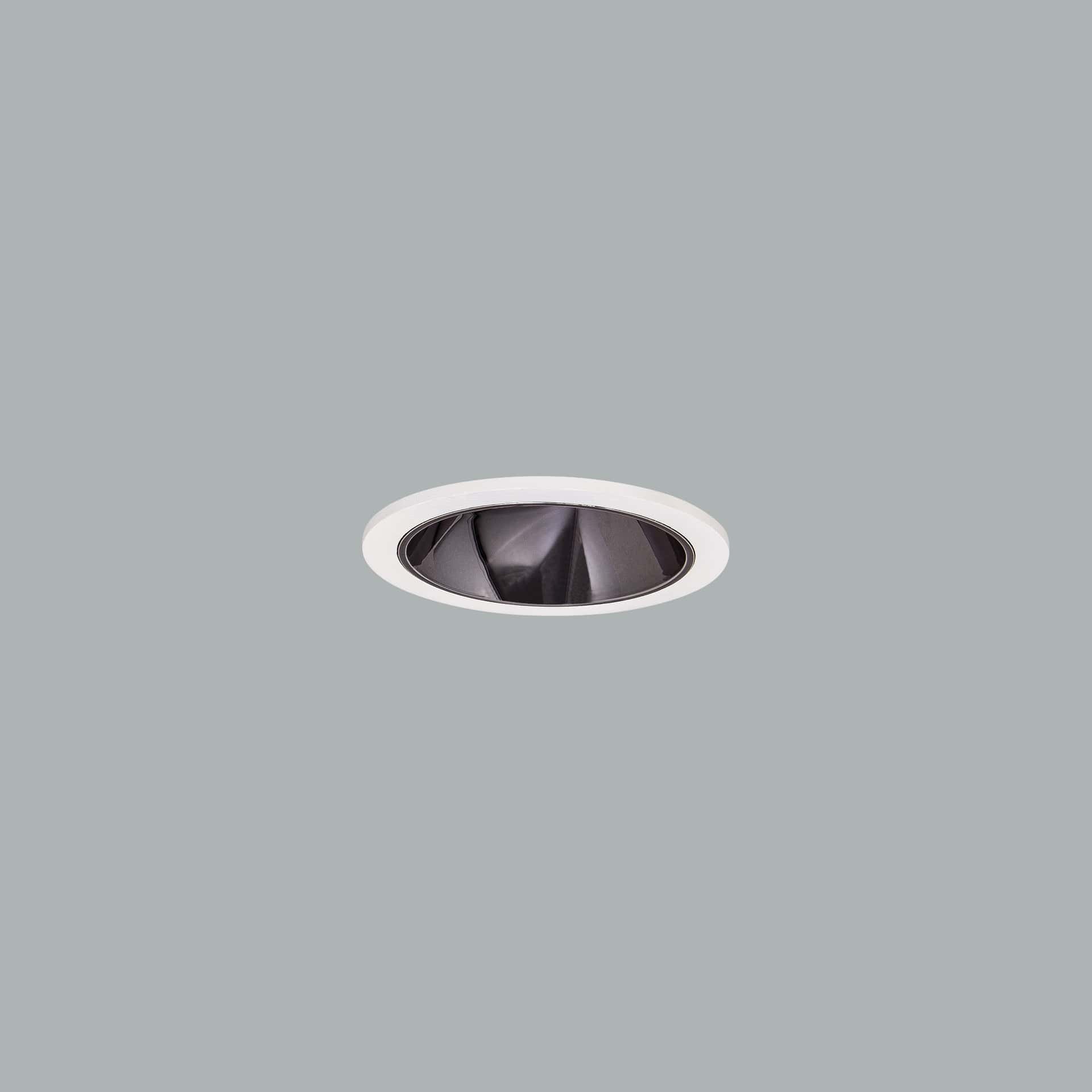 Indo Mini - image 3