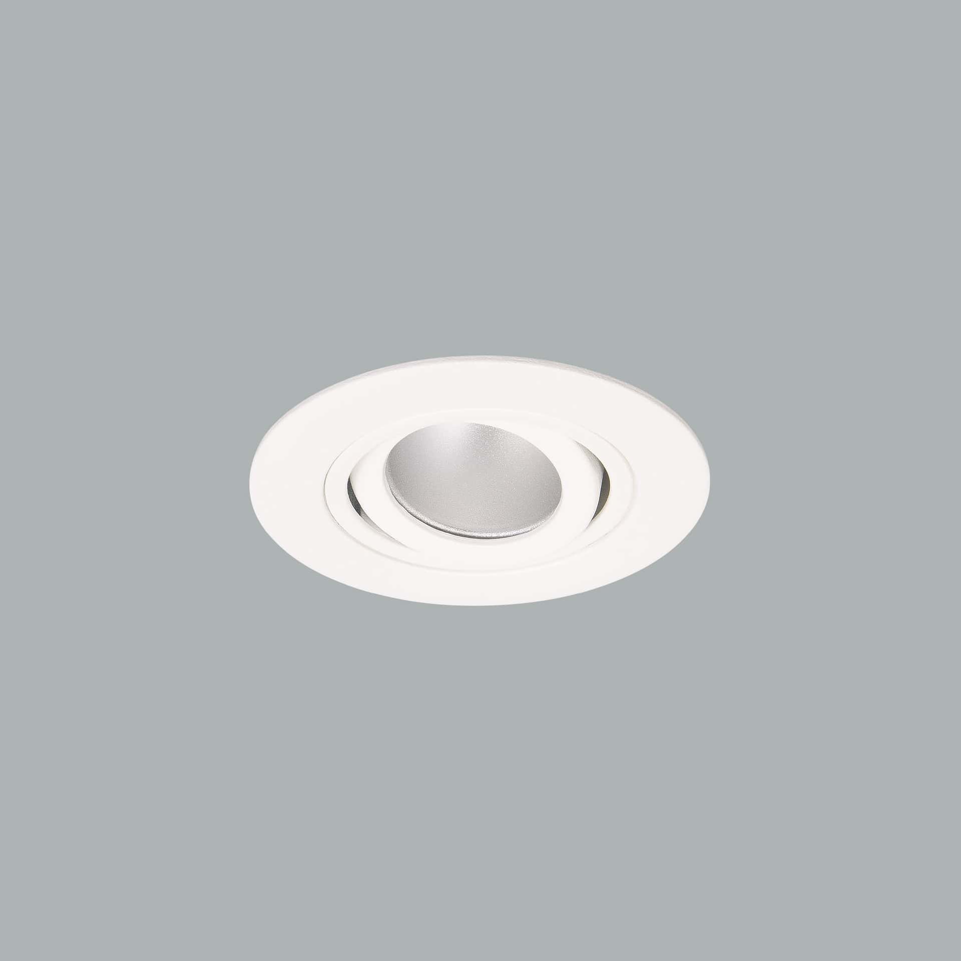 Luxon - image 4