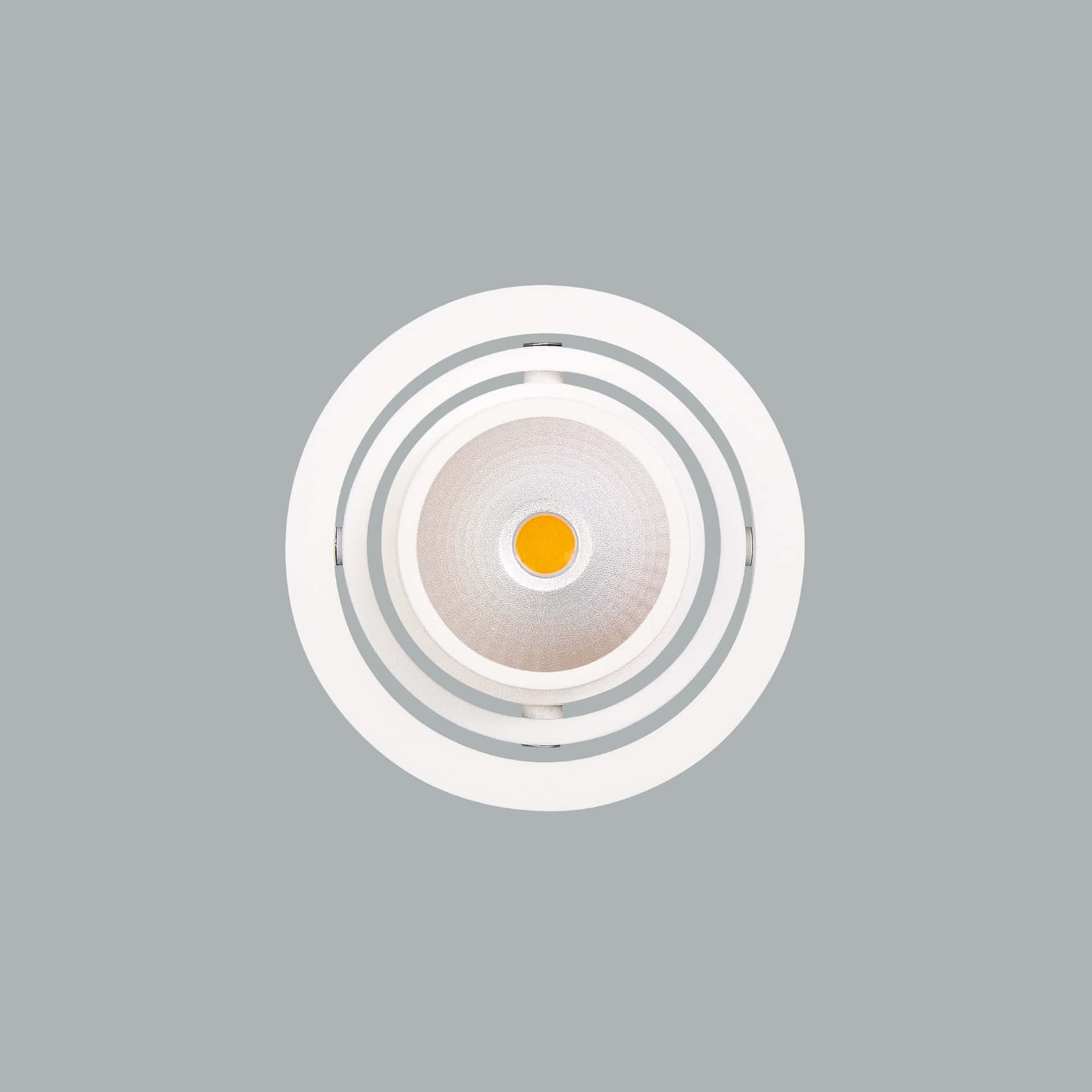 Luxon Focus - image 4