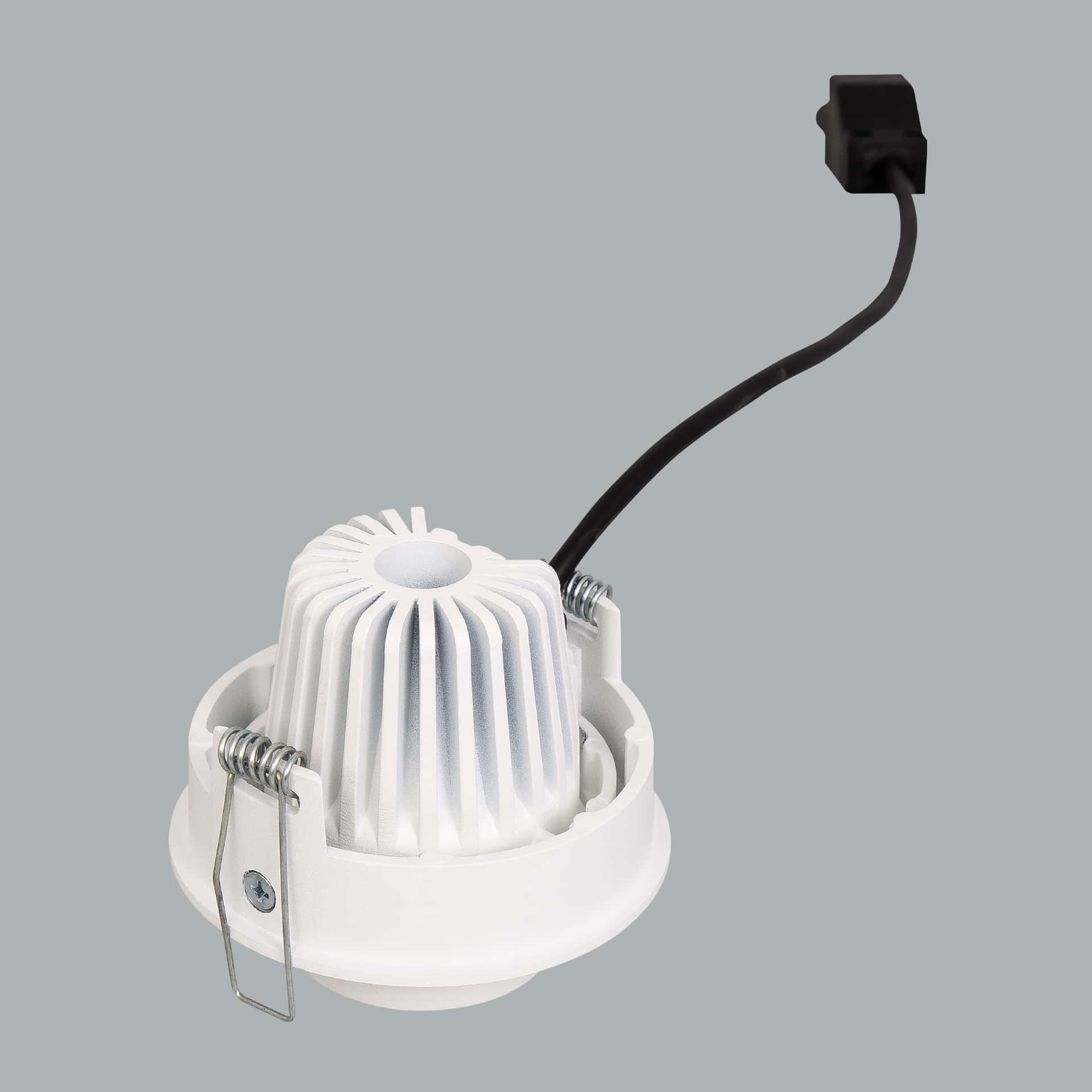 Luxon Focus - image 5