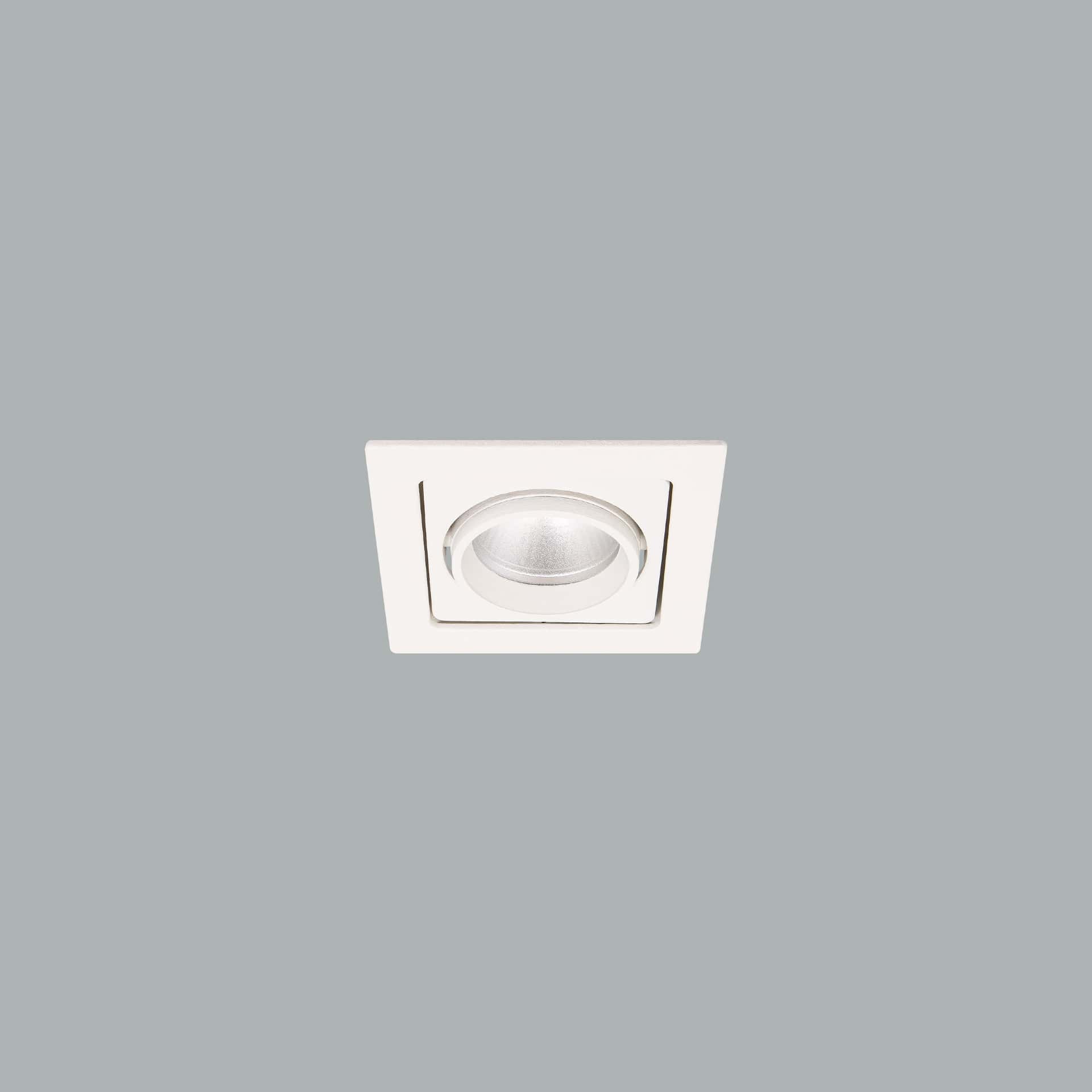 Gizmo - image 2
