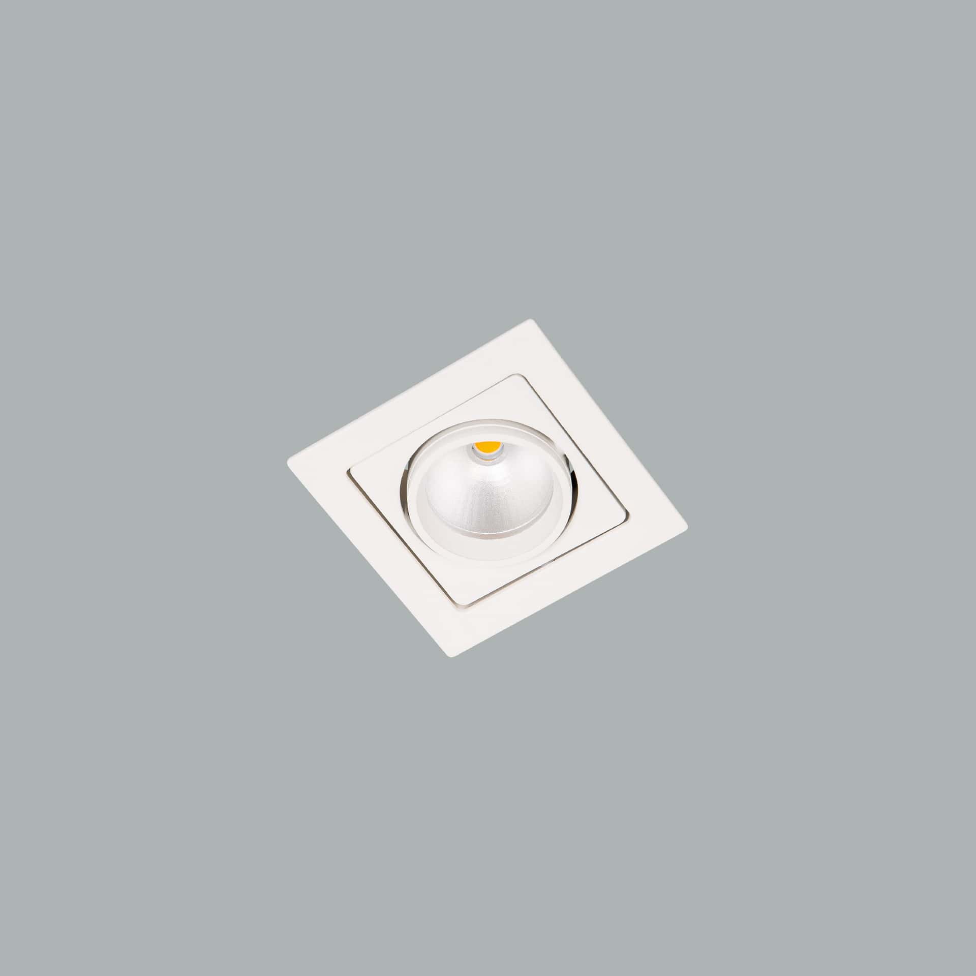 Gizmo - image 4