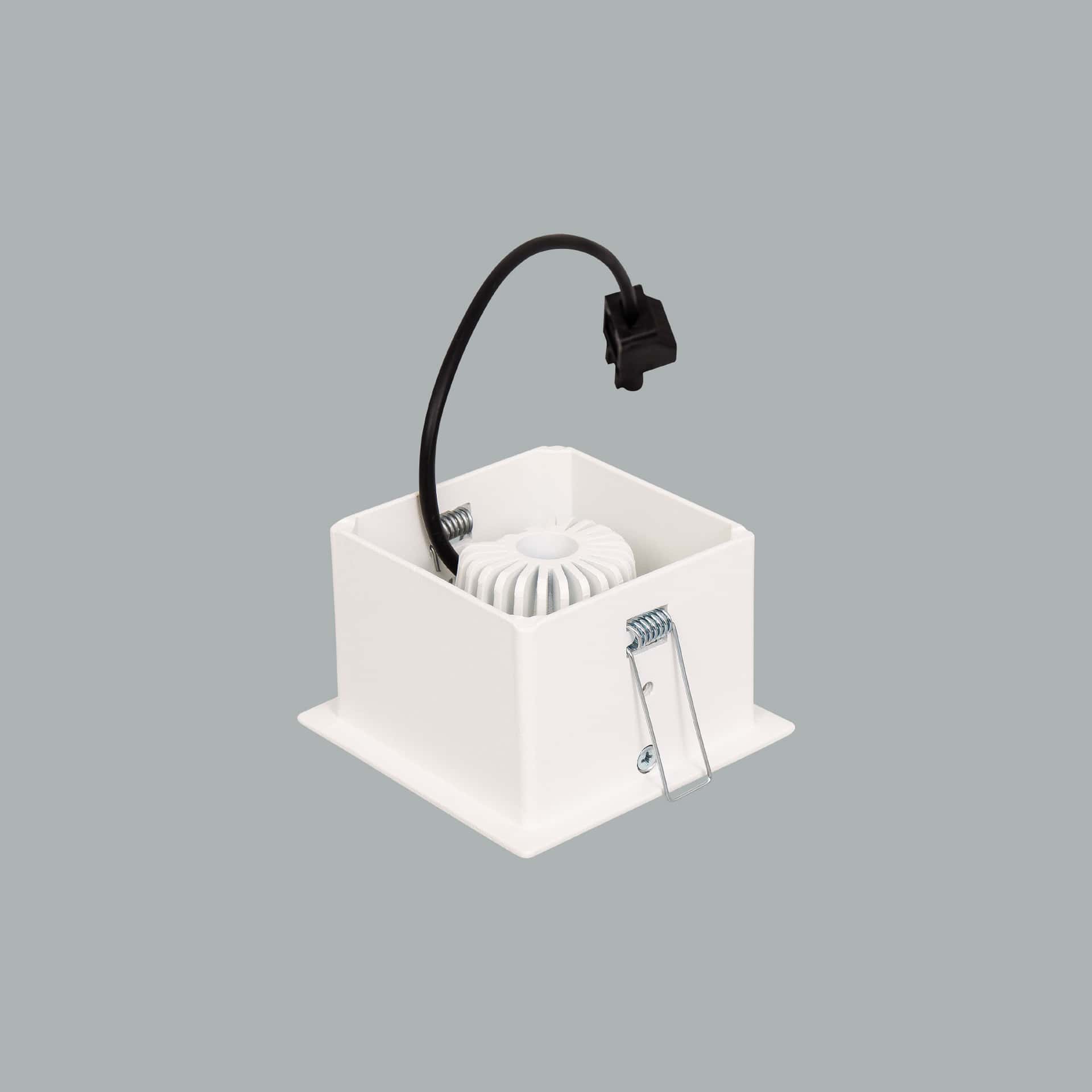 Gizmo - image 6