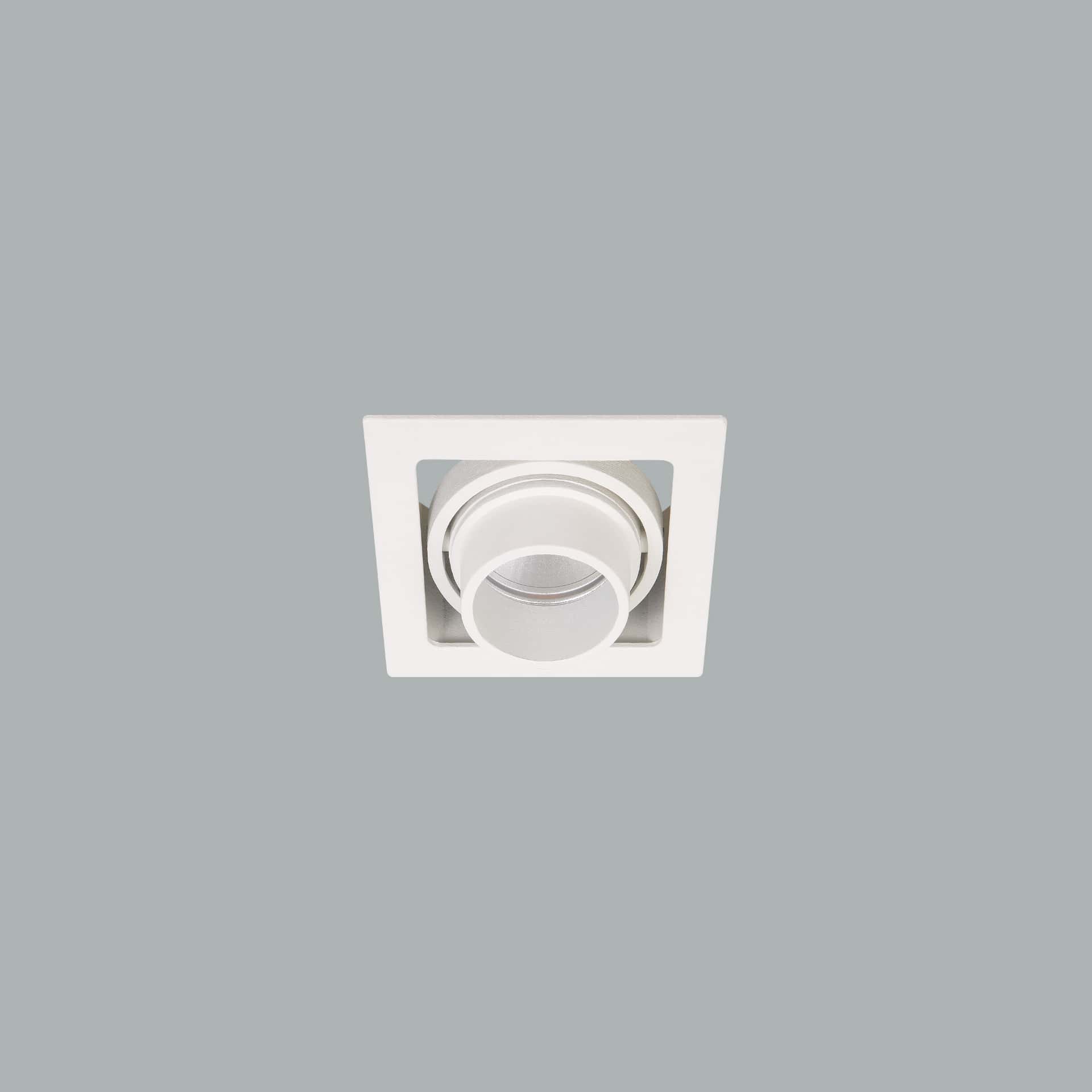 Gizmo Focus - image 2