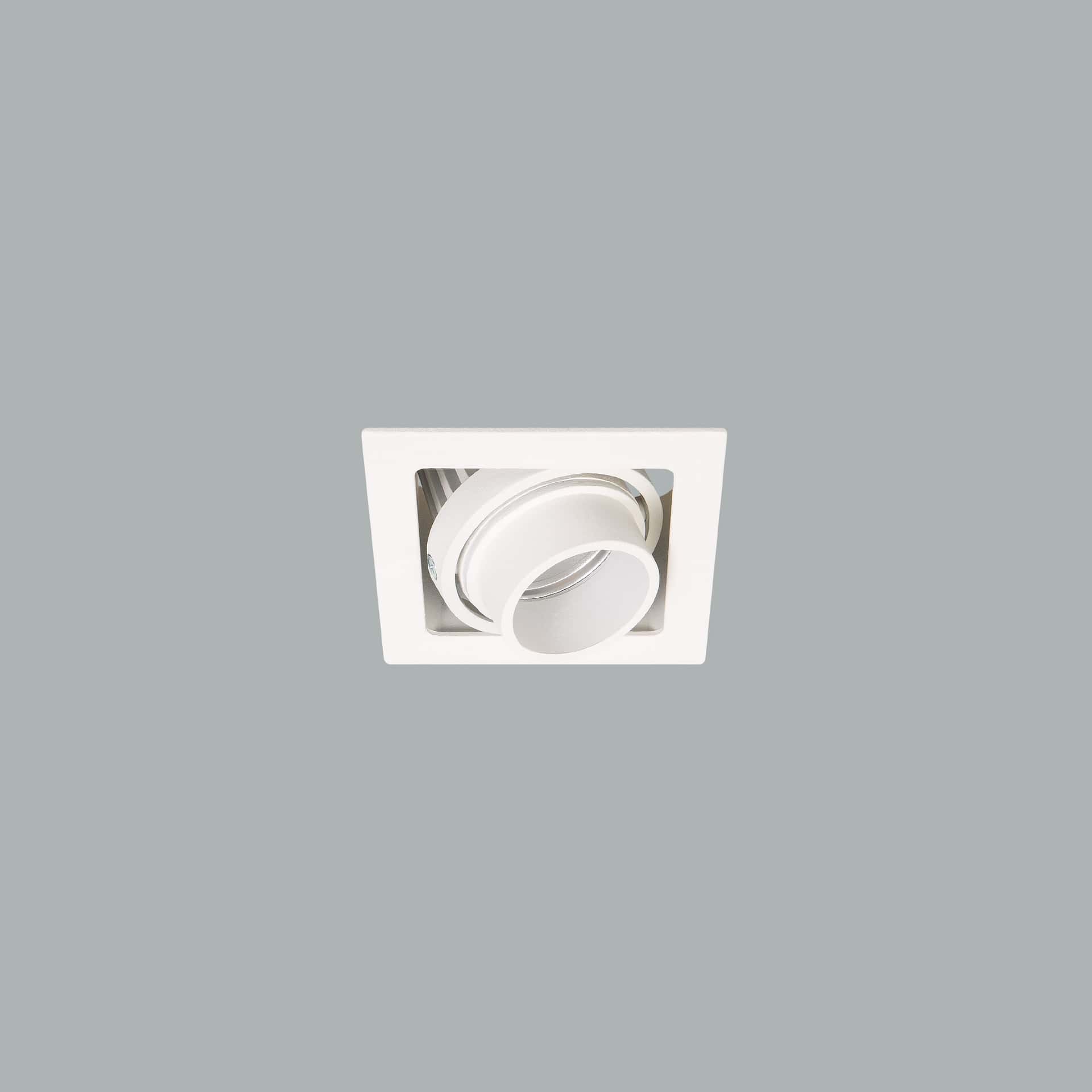 Gizmo Focus - image 3