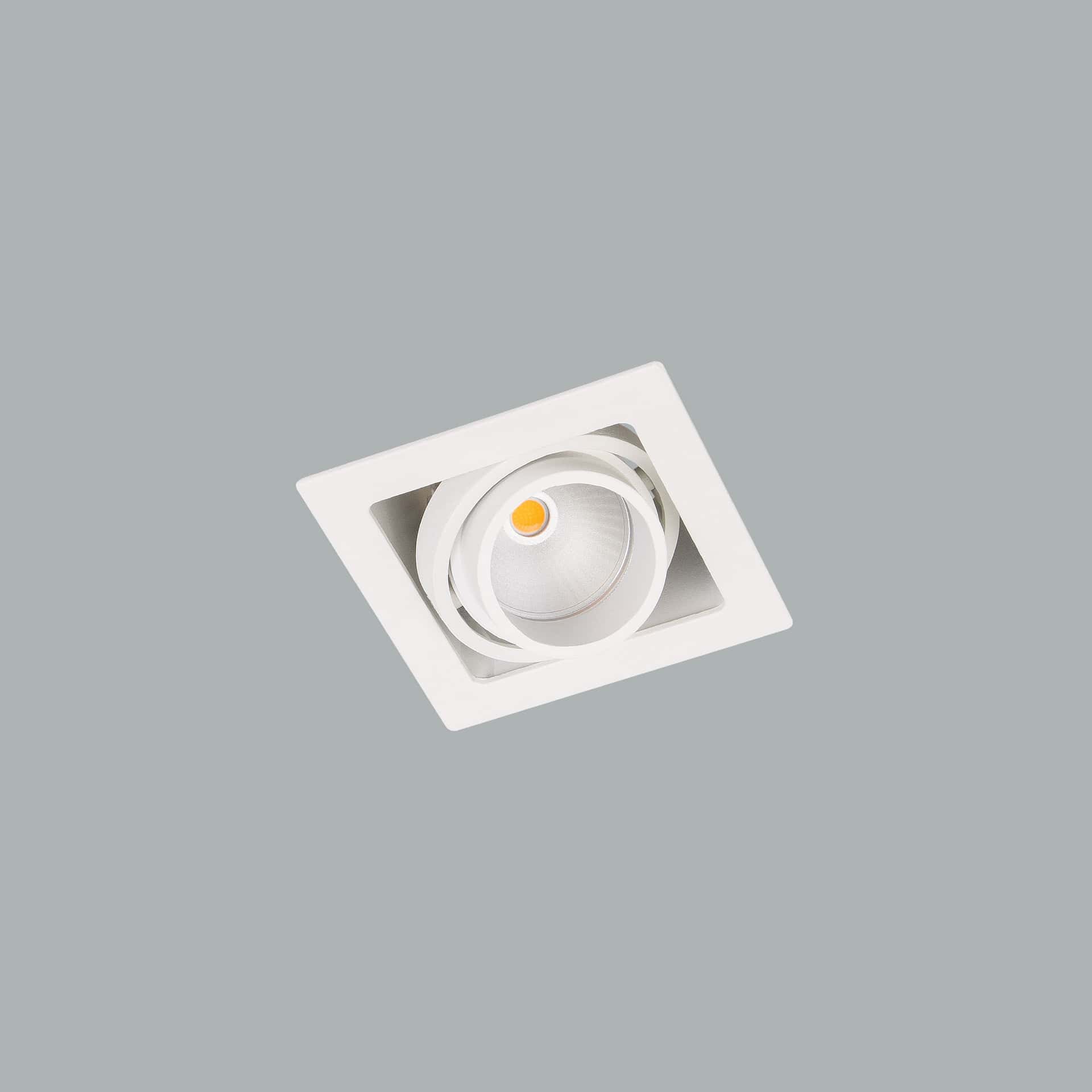 Gizmo Focus - image 4